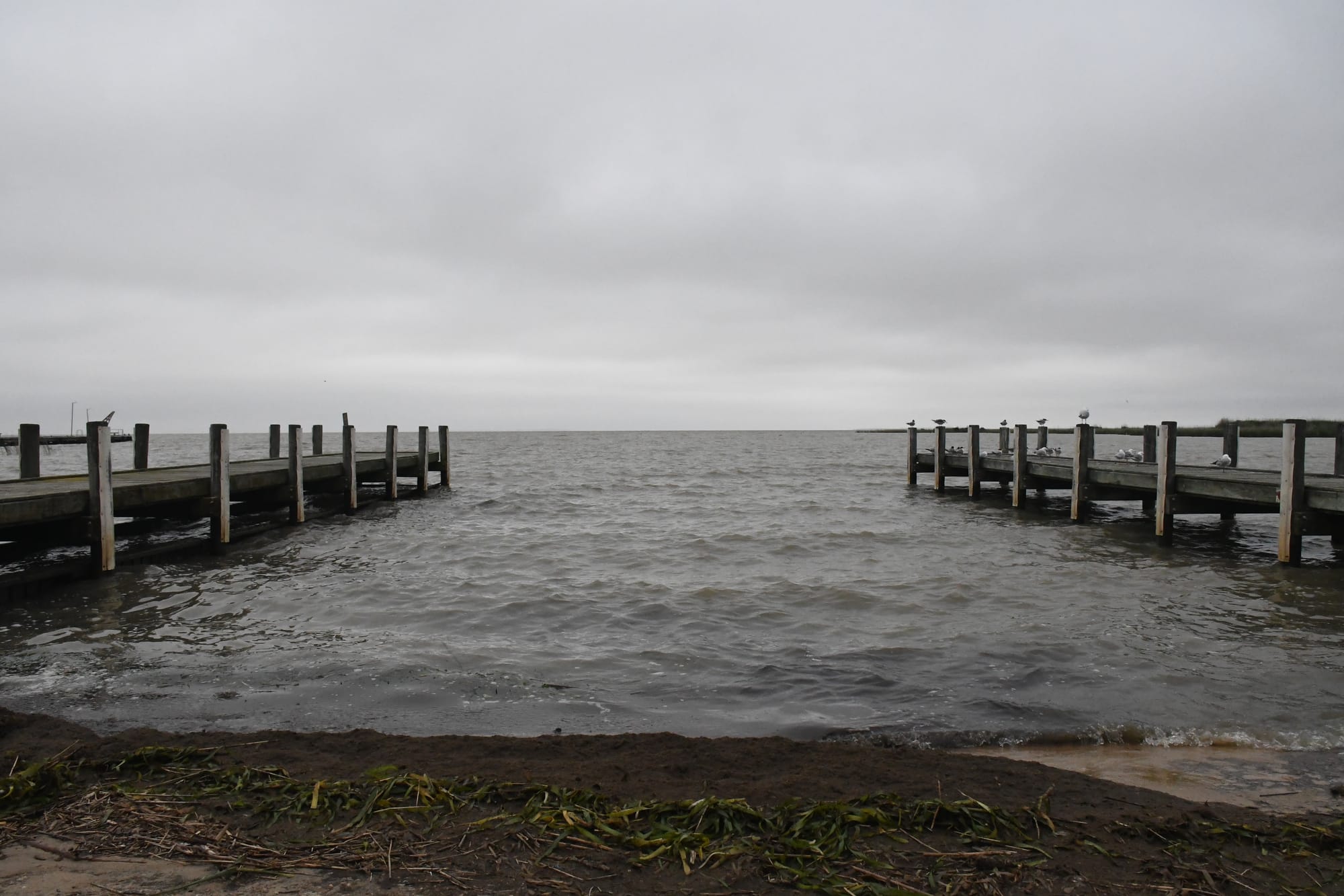 Environmental silver lining to flood risk