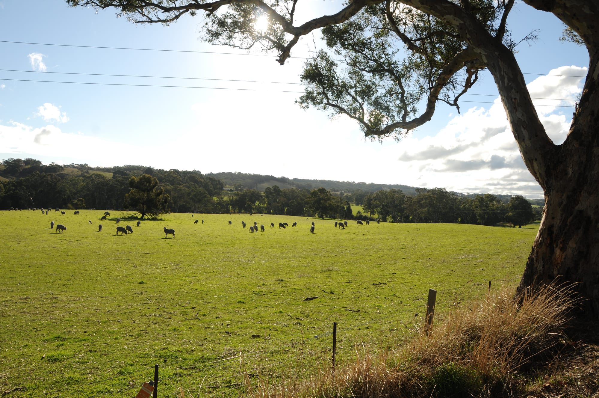 Council confirms major development in controversial solar farm saga