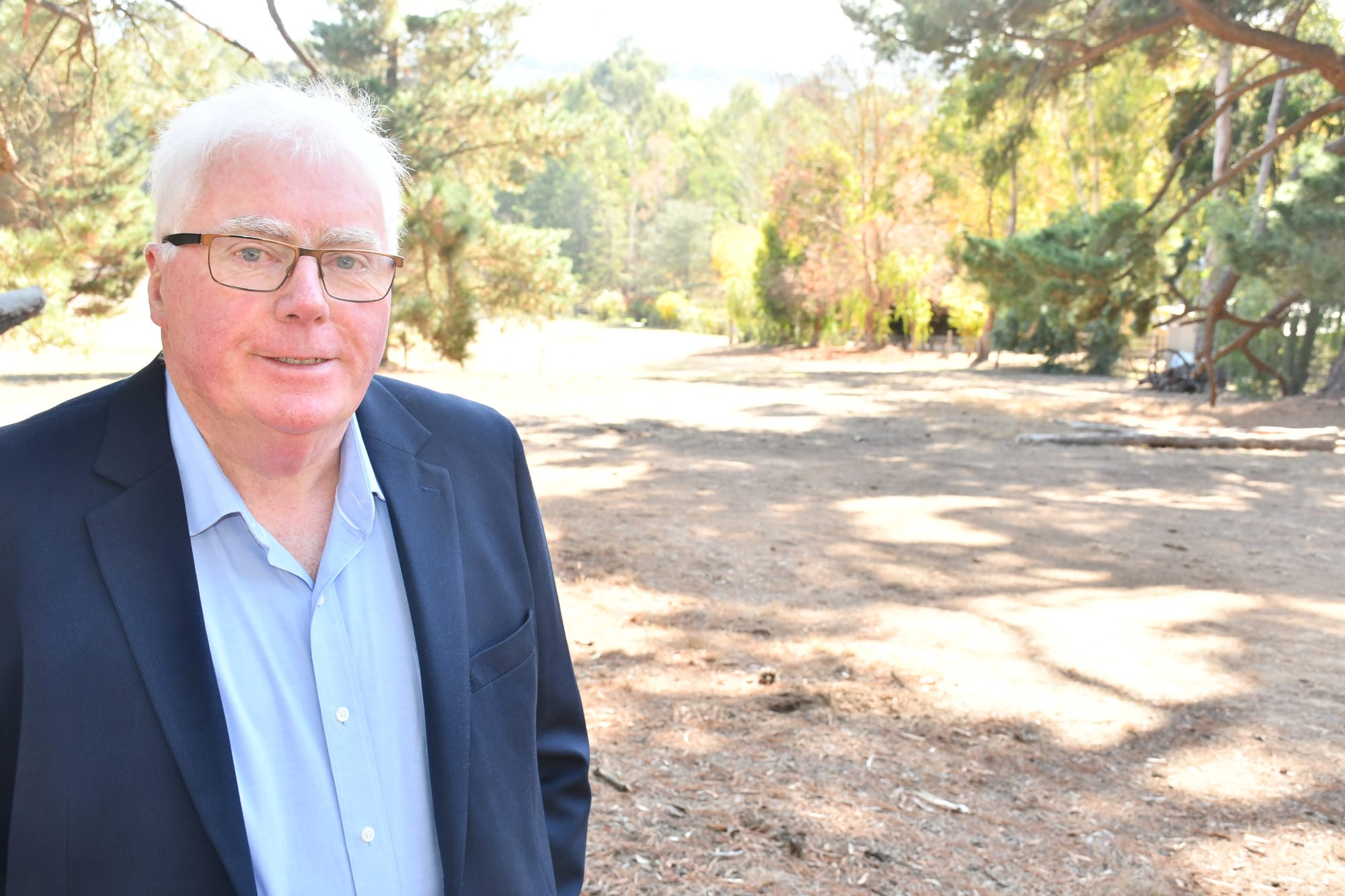 Green light for Cedars gallery