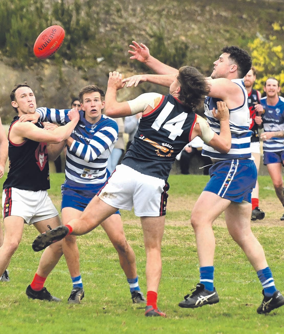 Finals leap by Roos