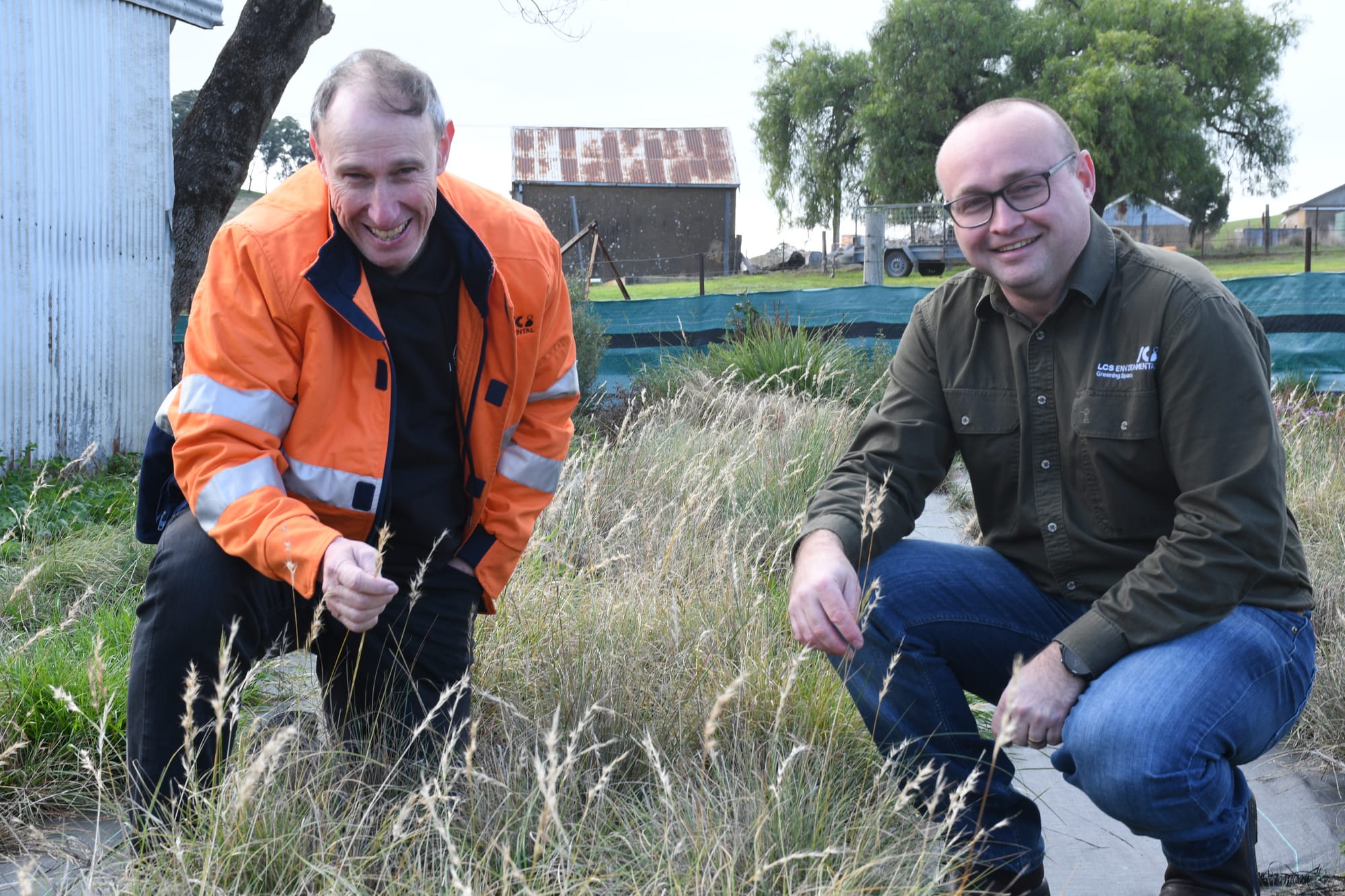 Seed project to reduce fire risk