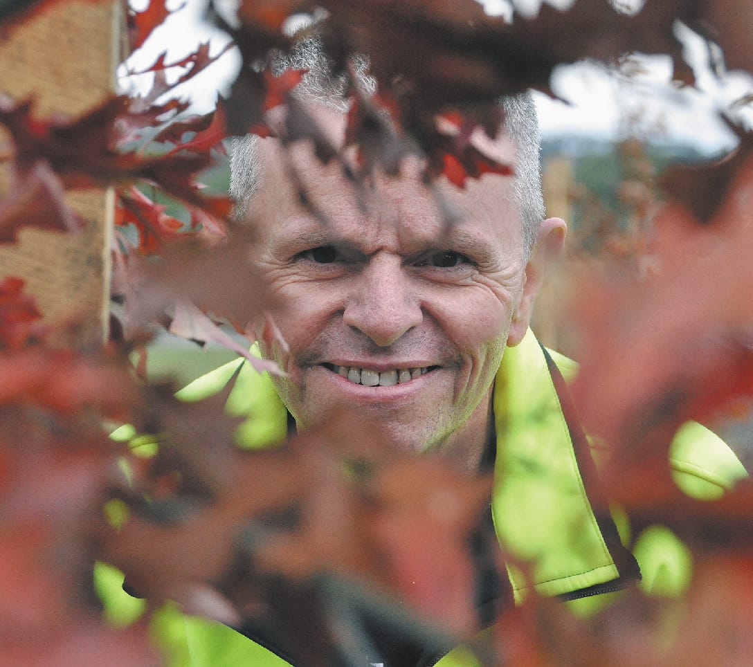 Avenue of trees to help region heal from bushfires