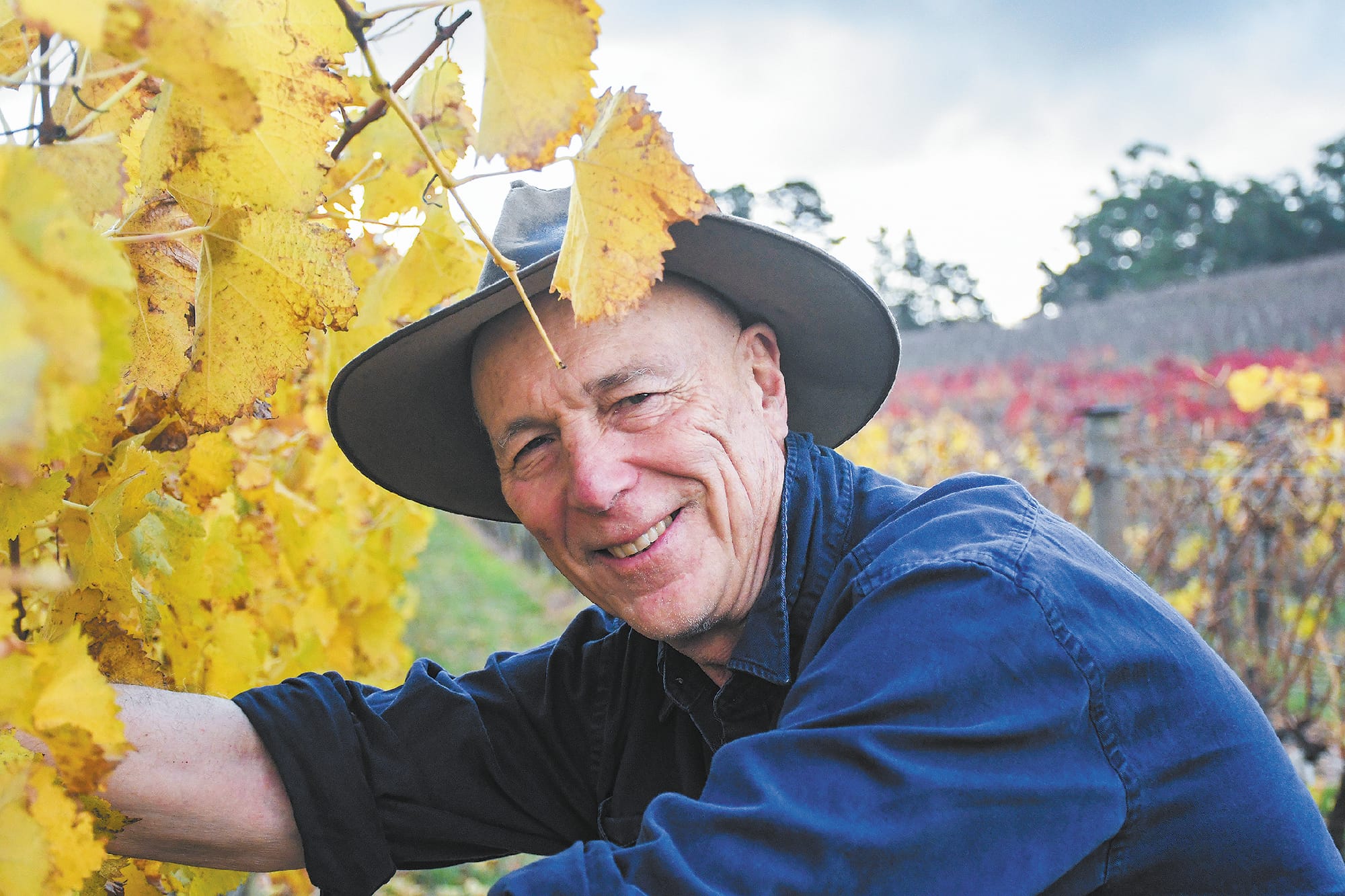 Local wineries taste success at national wine show