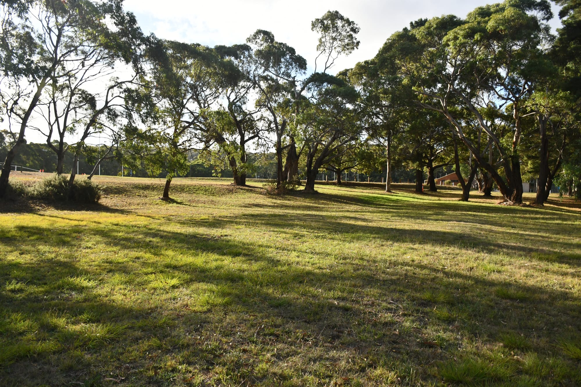 RV park proposed for Macclesfield land