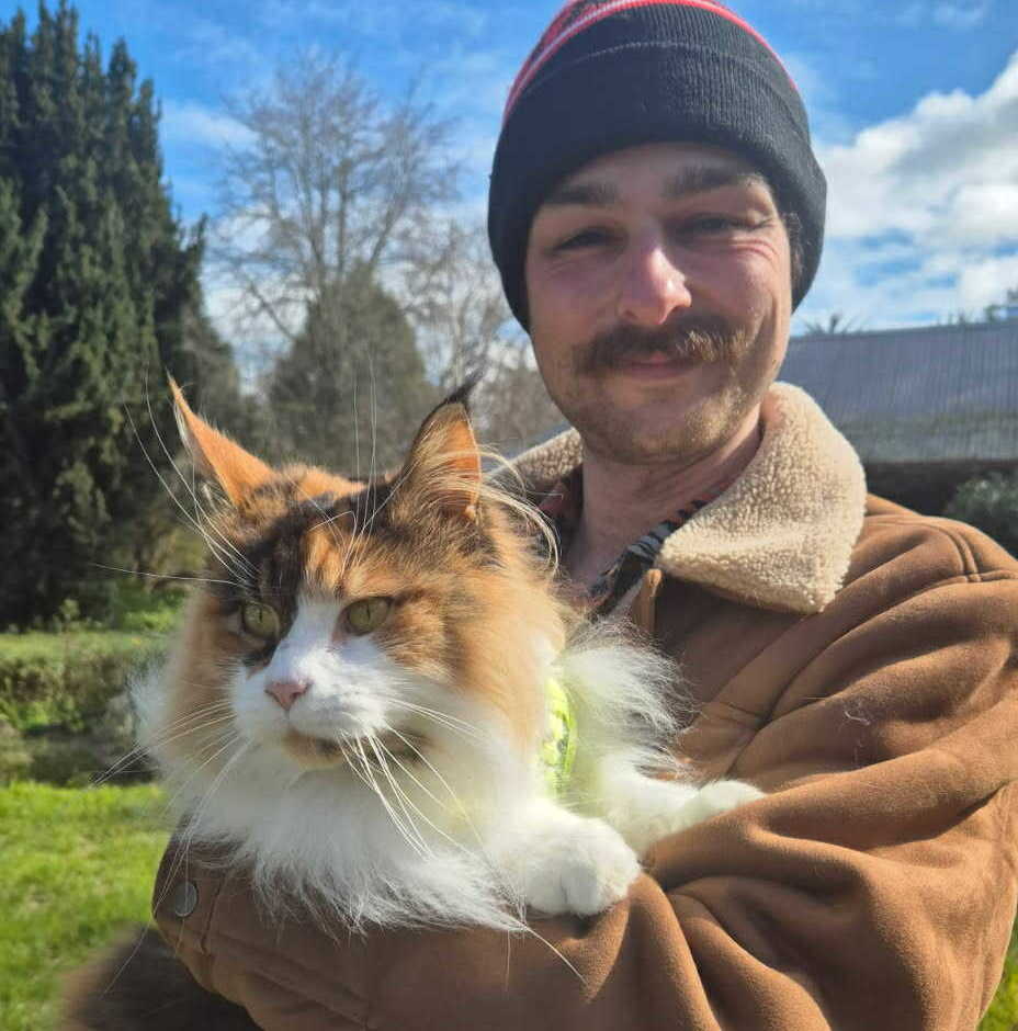 Council to investigate regional pound