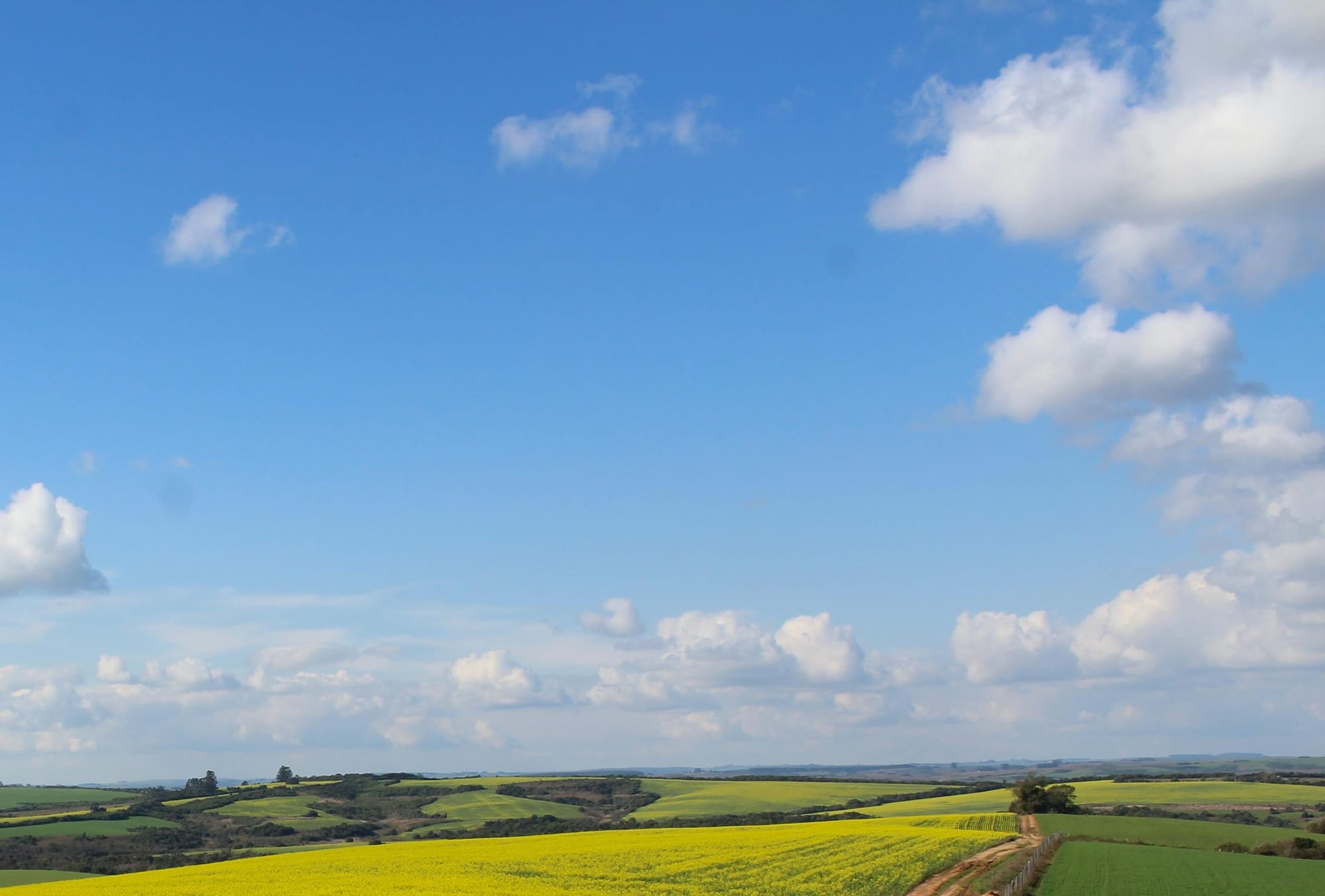 Infrastructure and transport projects top the list of key investment priorities for Hills councils