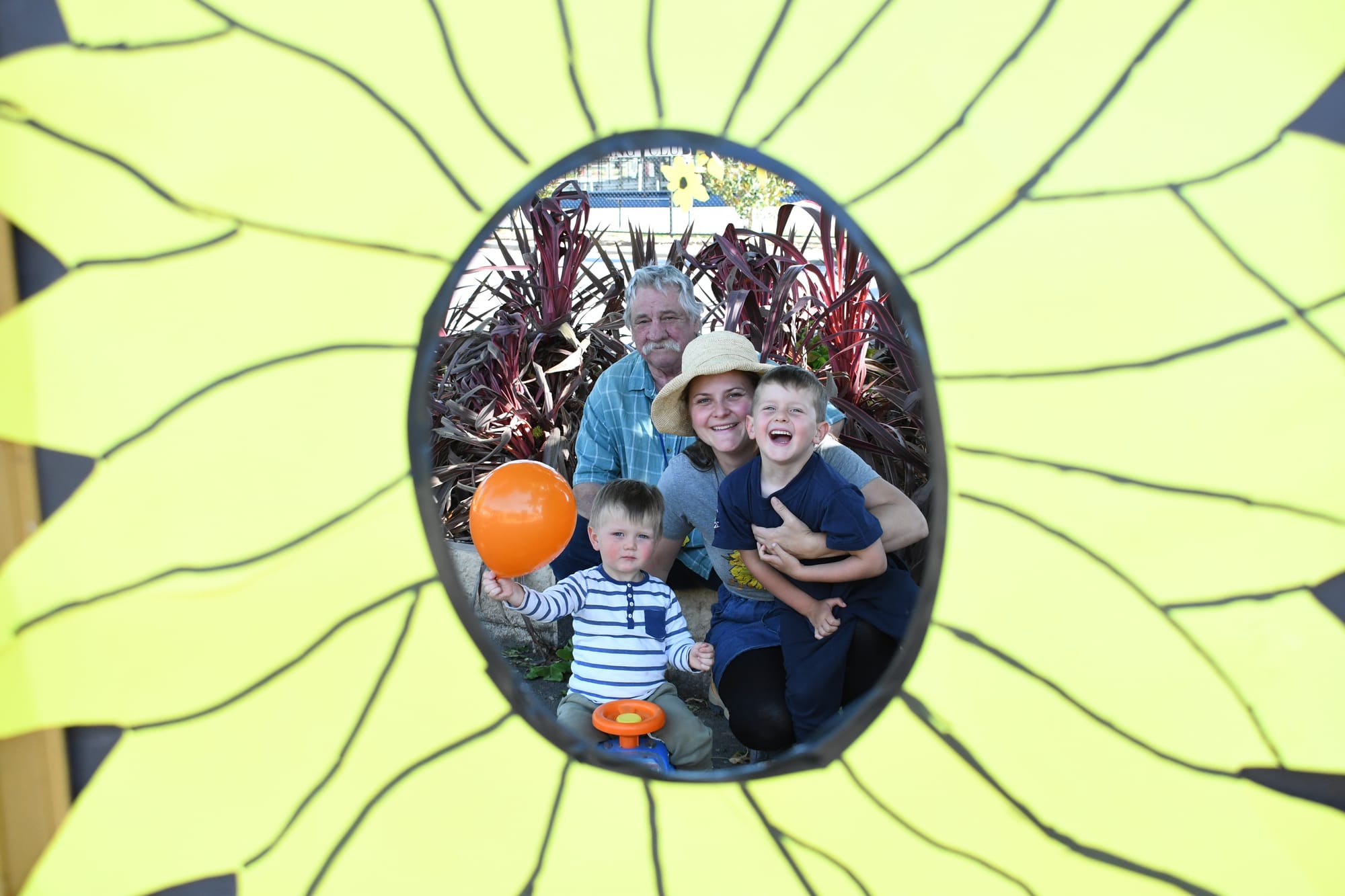 Sunflowers help Uraidla light up the Tour Down Under