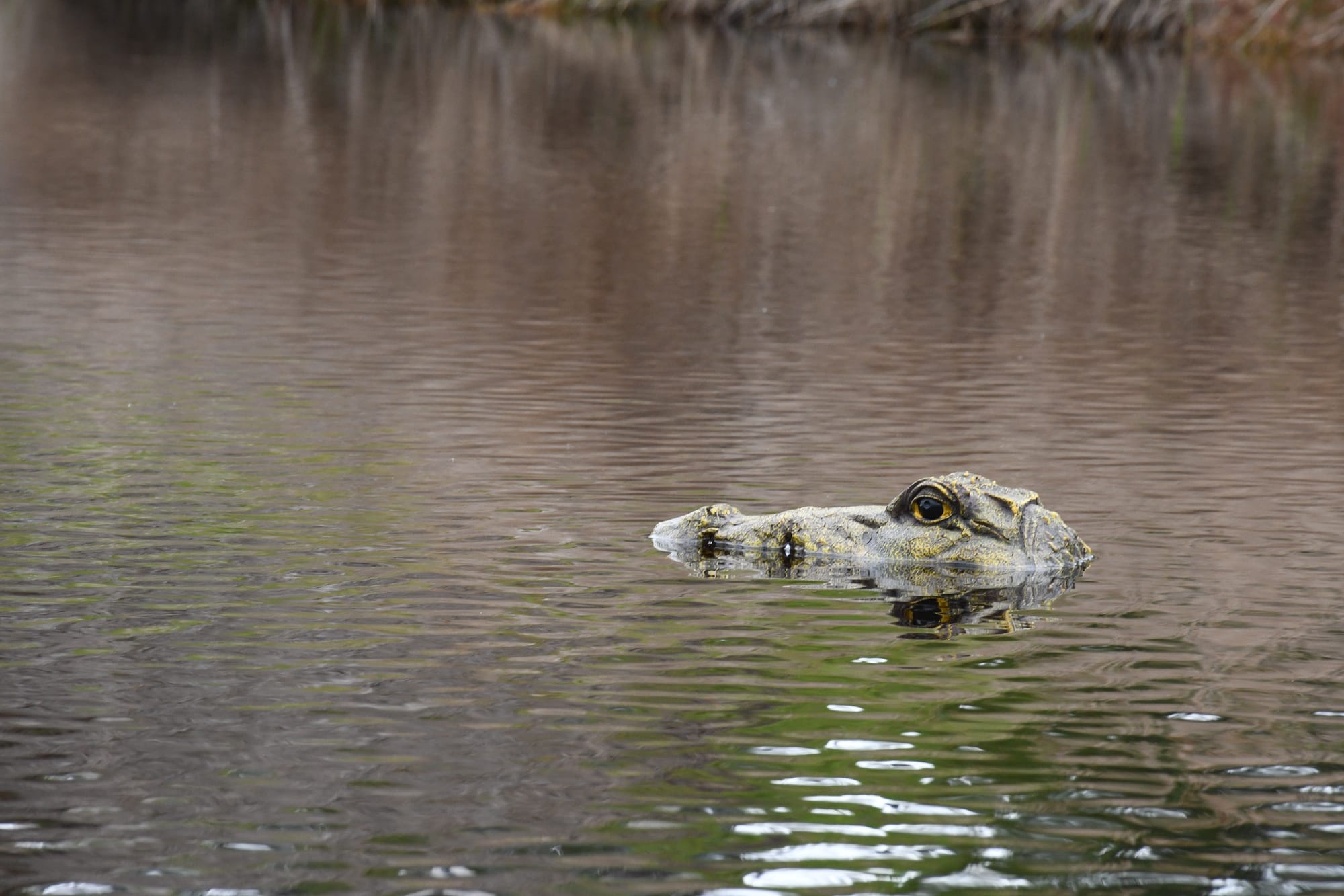 River warning sign just a crock