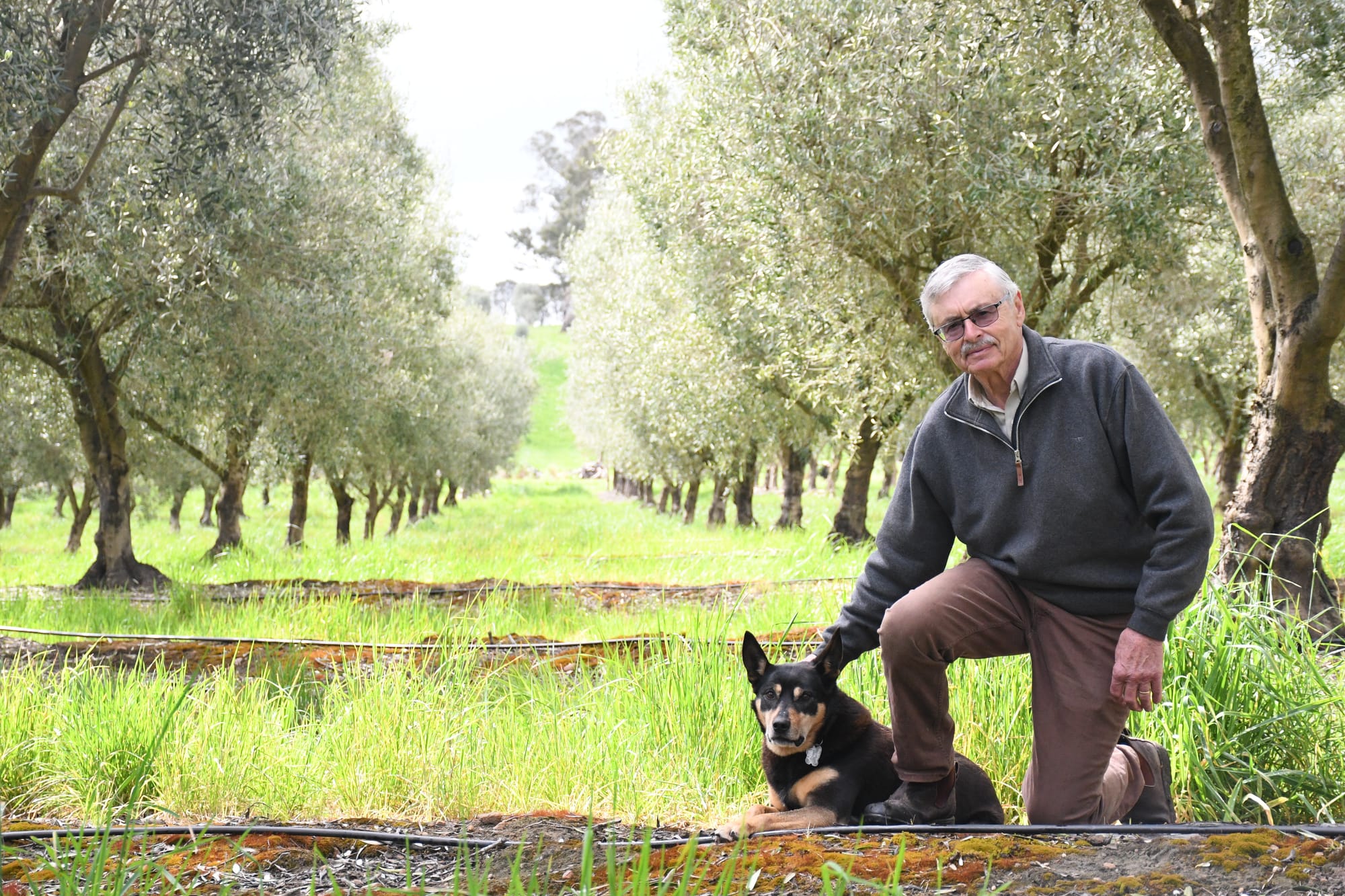 Liquid gold flows again