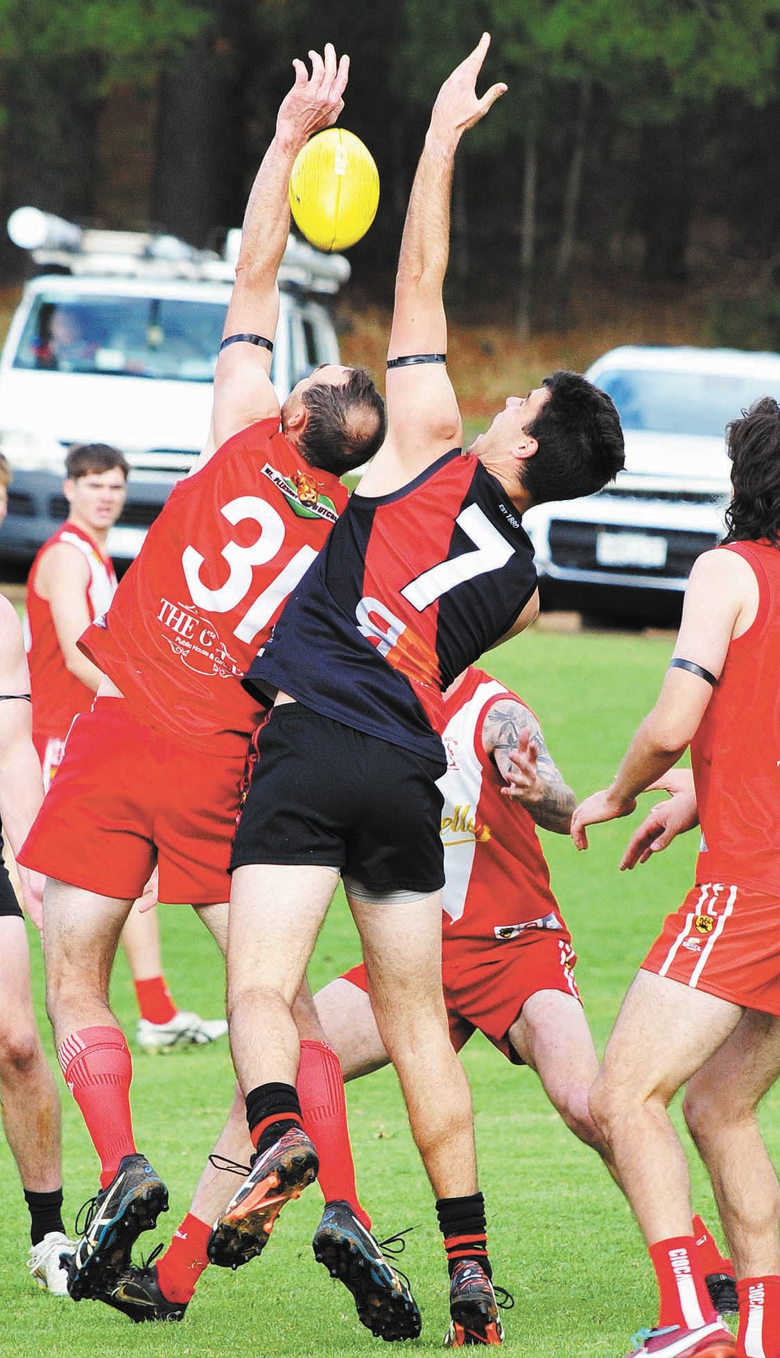 Tribute win by Birdwood