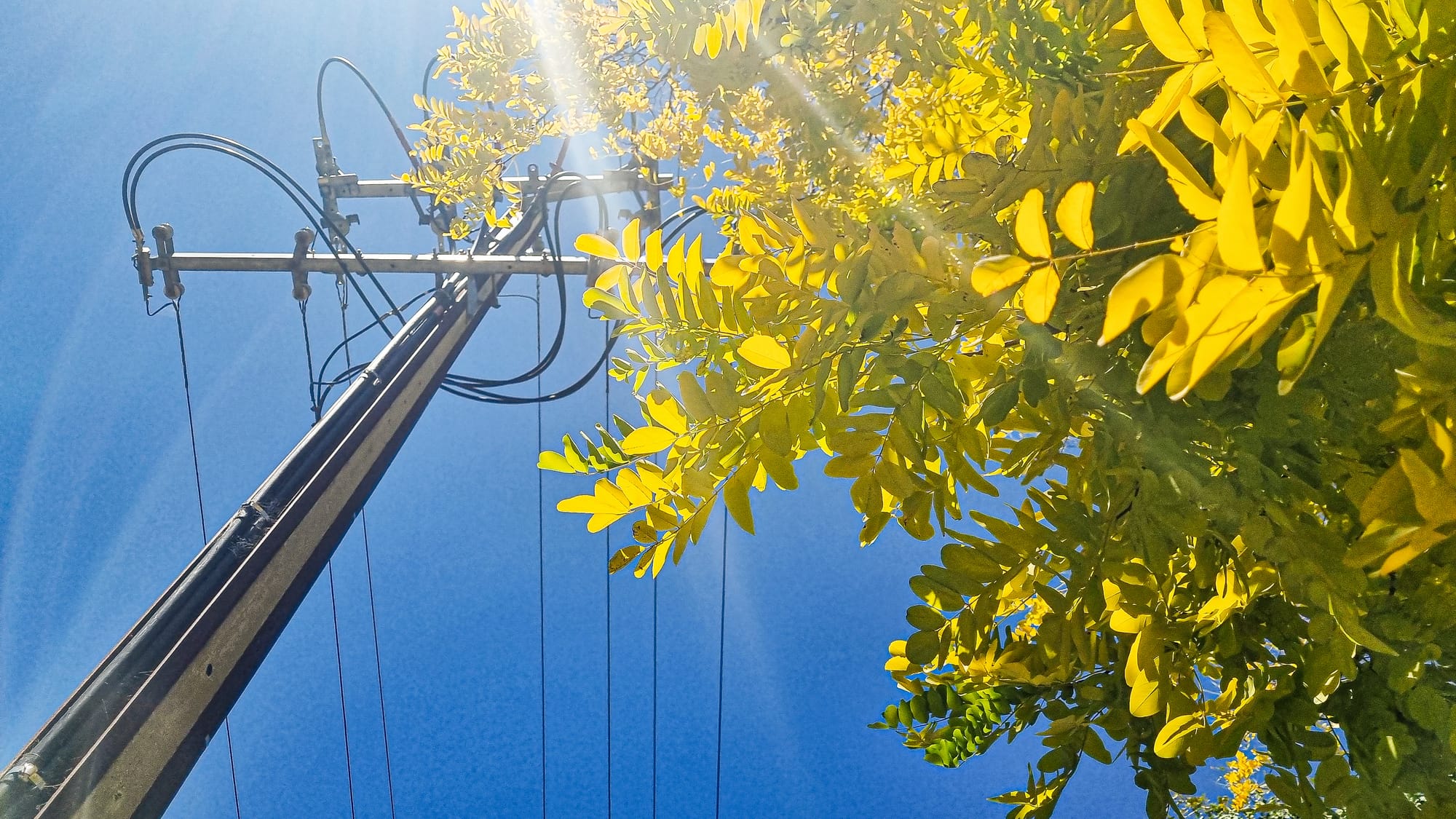 Work scheduled to reduce black-out impact