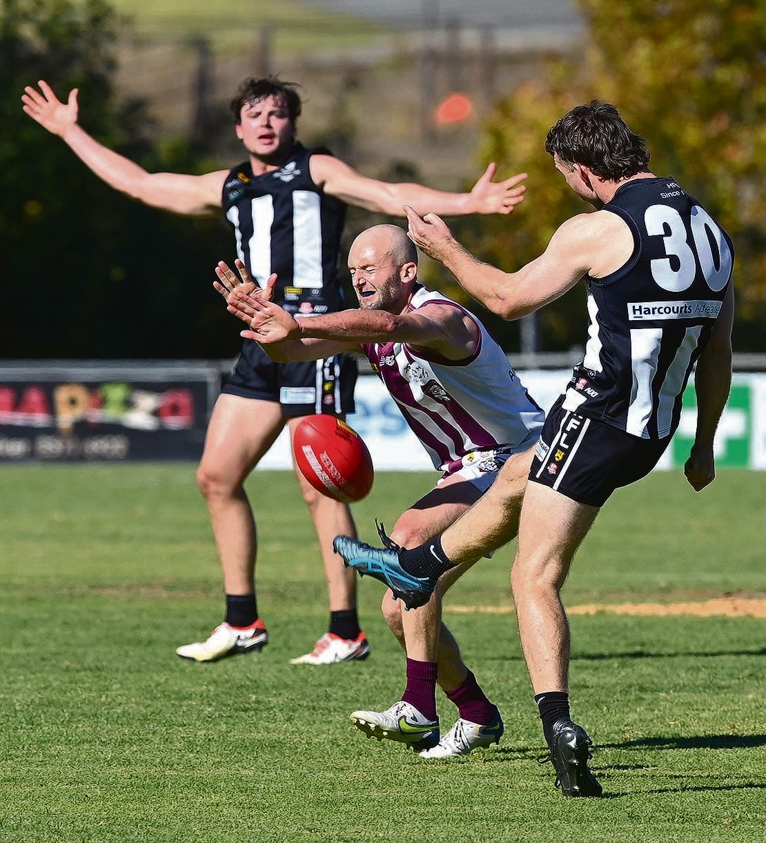 Hahndorf score revenge
