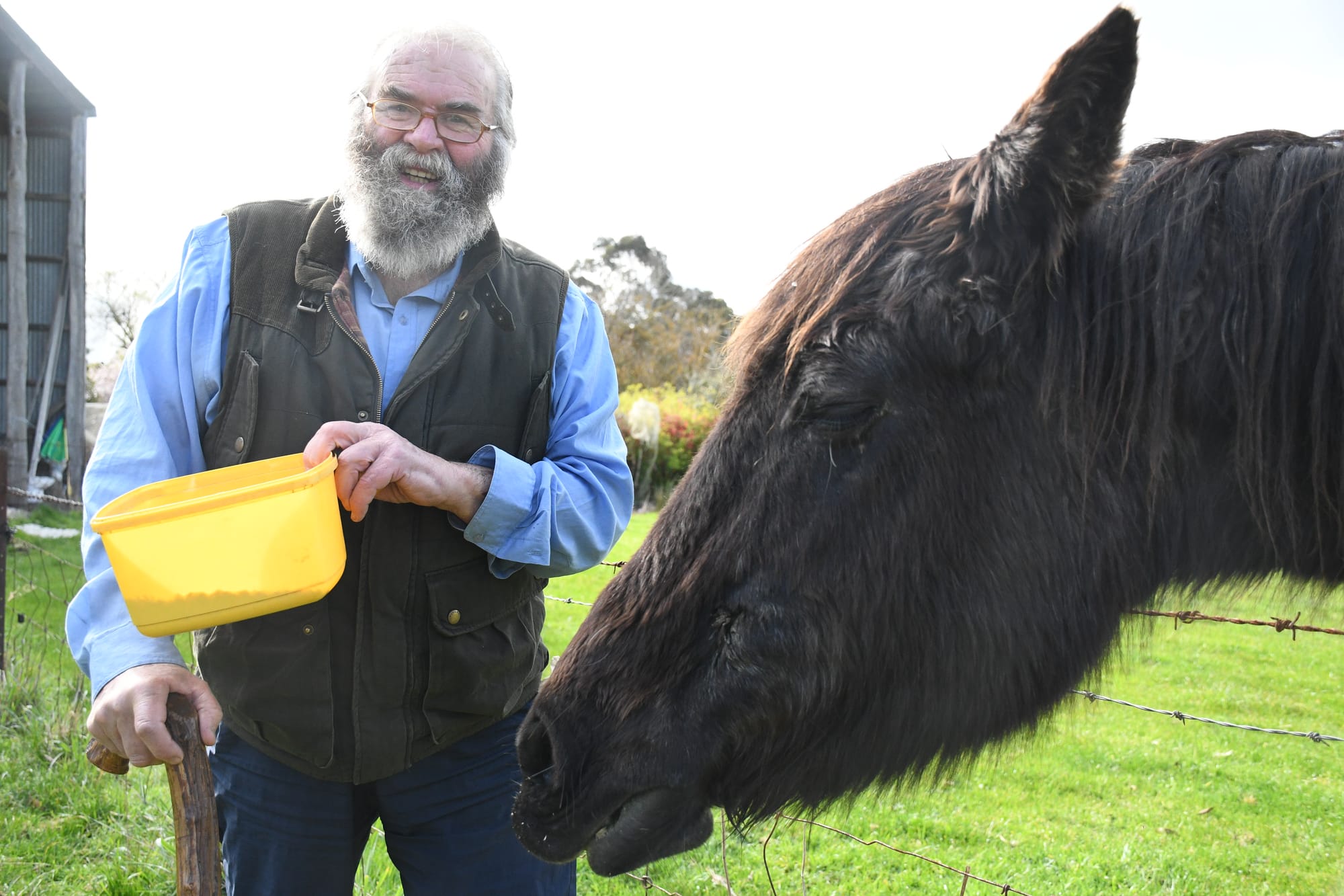 Queen takes an interest in elderly horse