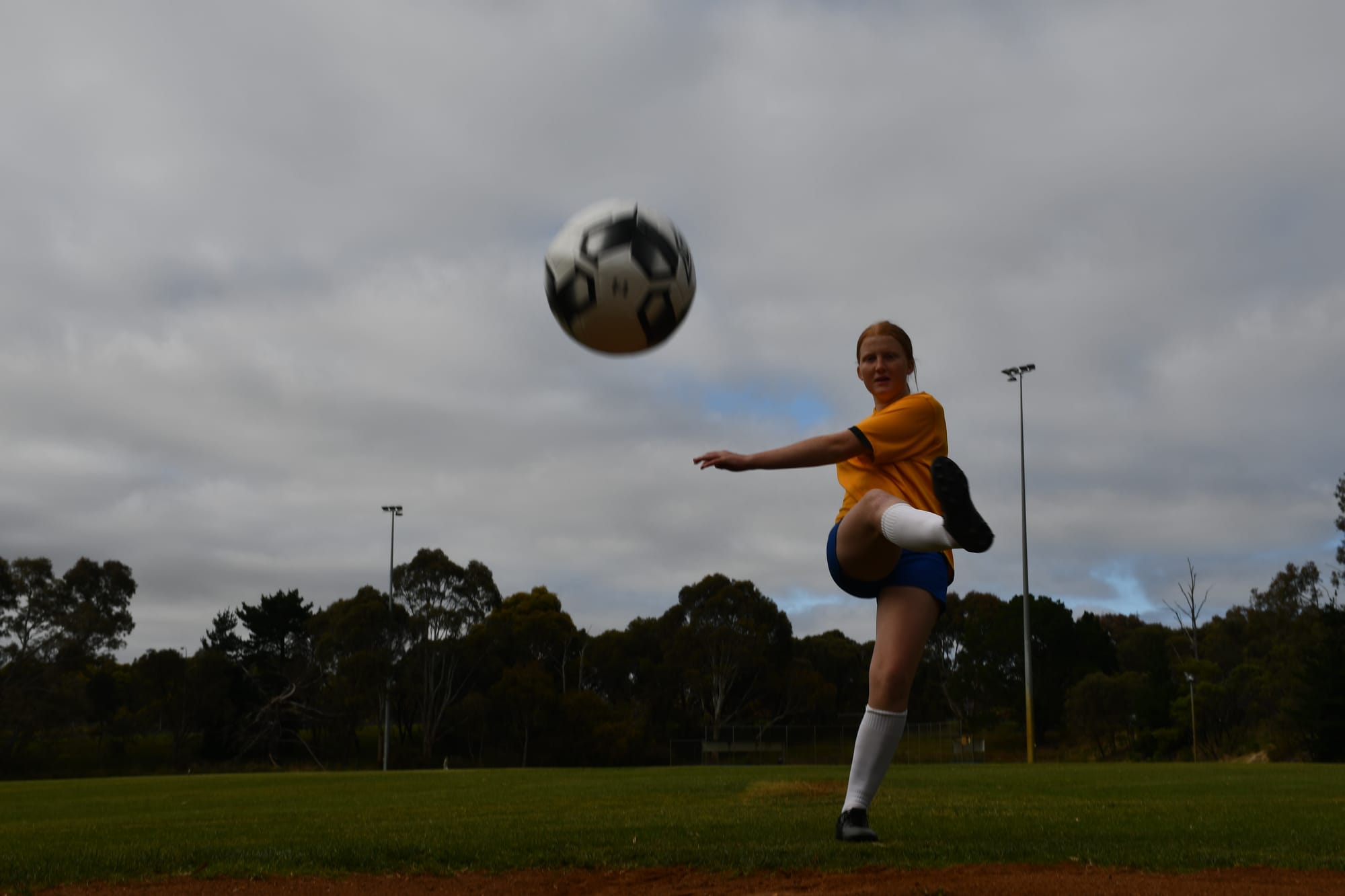 From Petwood to Fiji