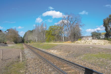 Train trial bid outcome expected by October