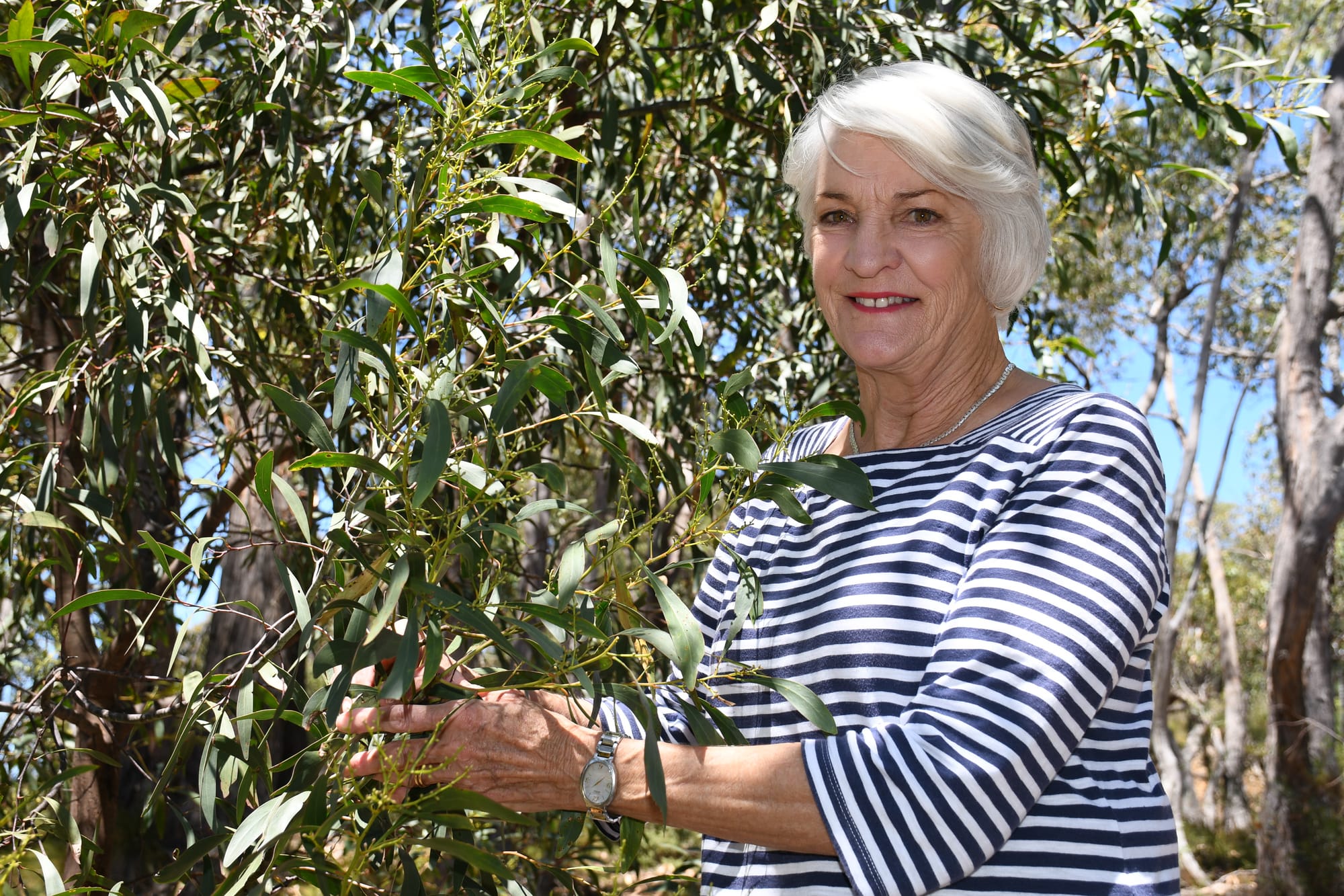 A life in conservation