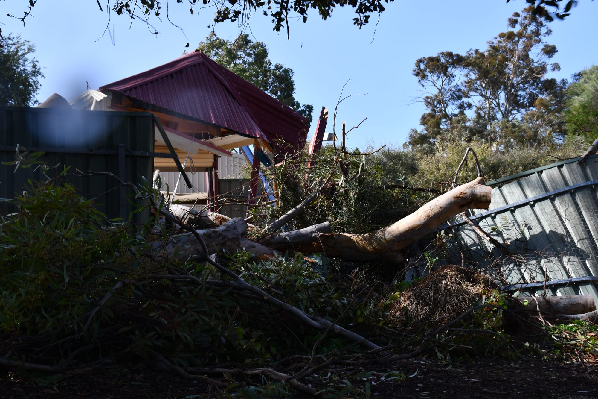 Strong winds batter Strathalbyn