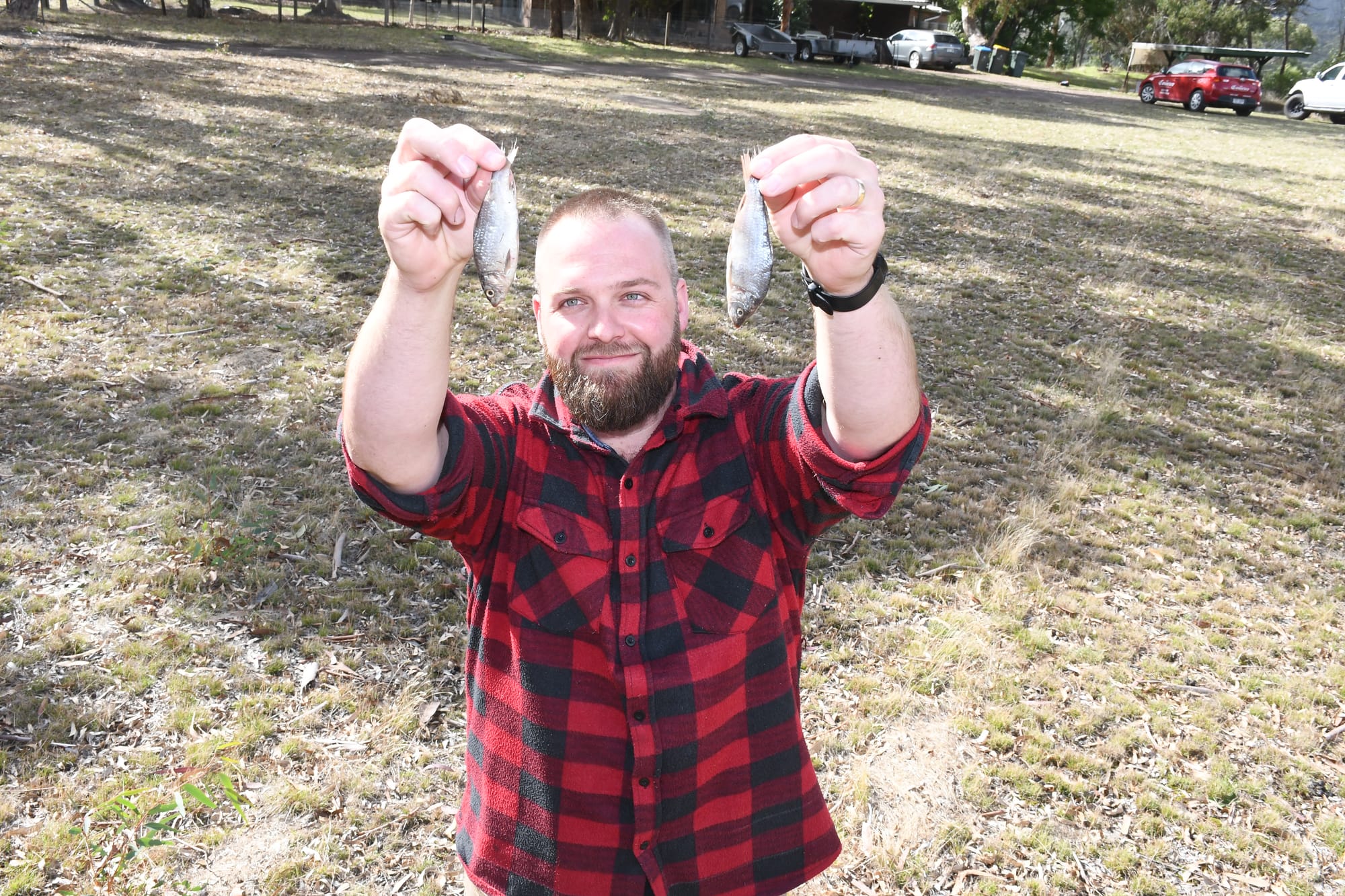 Falling fish stir up a storm