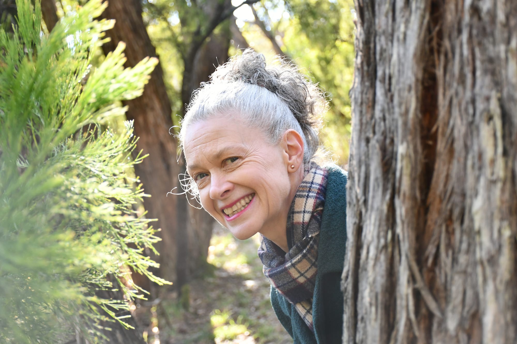 New rules to protect more trees