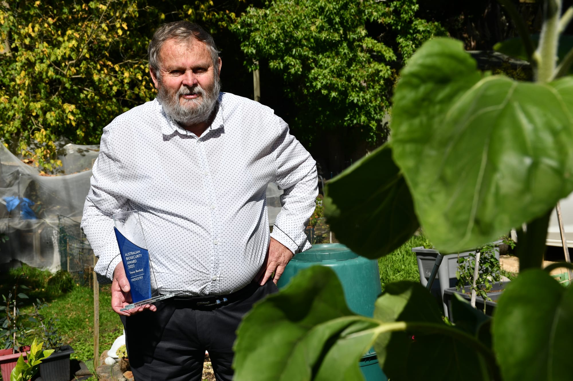 Biosecurity award for work to manage chestnut blight