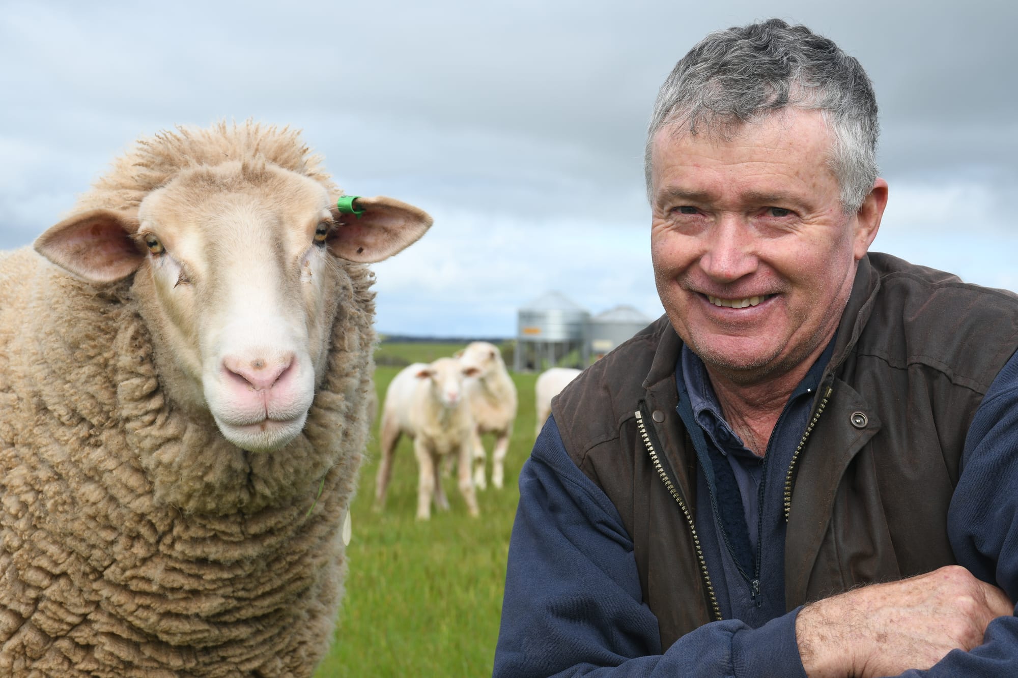 Record prices a boost for Hills farmers