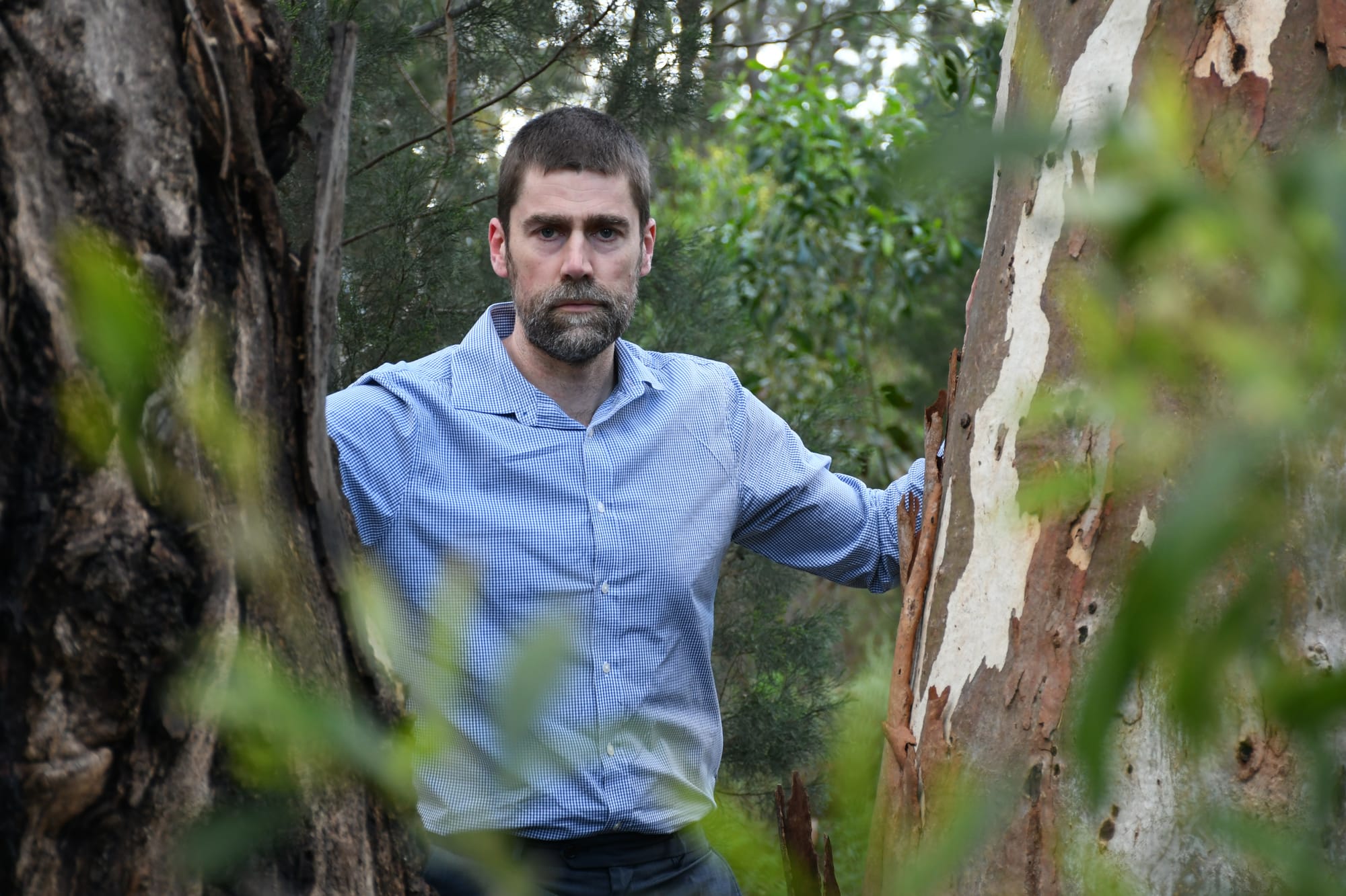 Committee to oversee boundary realignment push