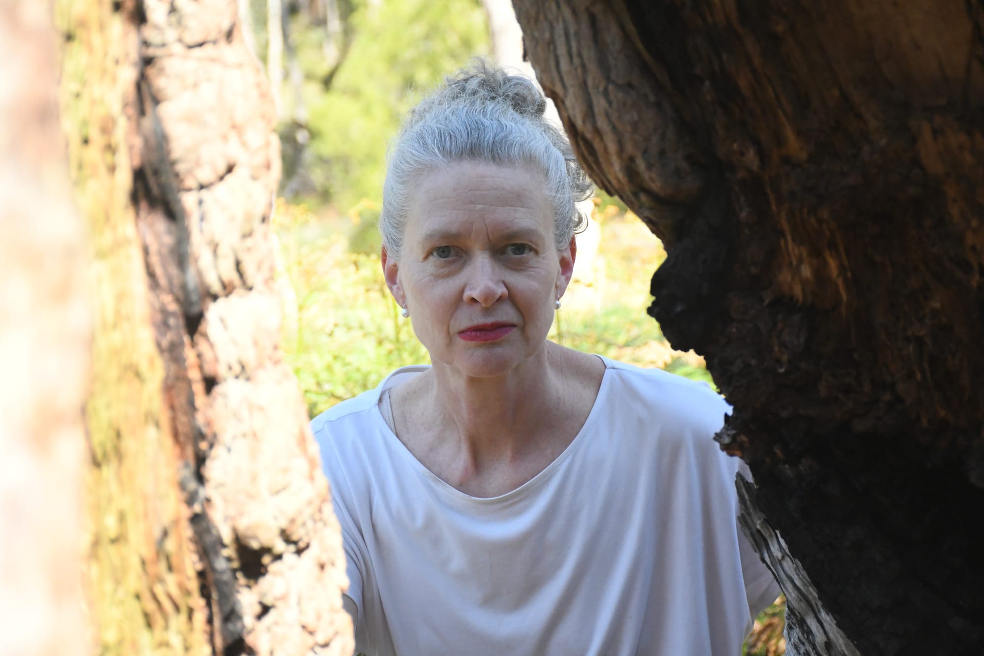 Hills tree loss a growing concern