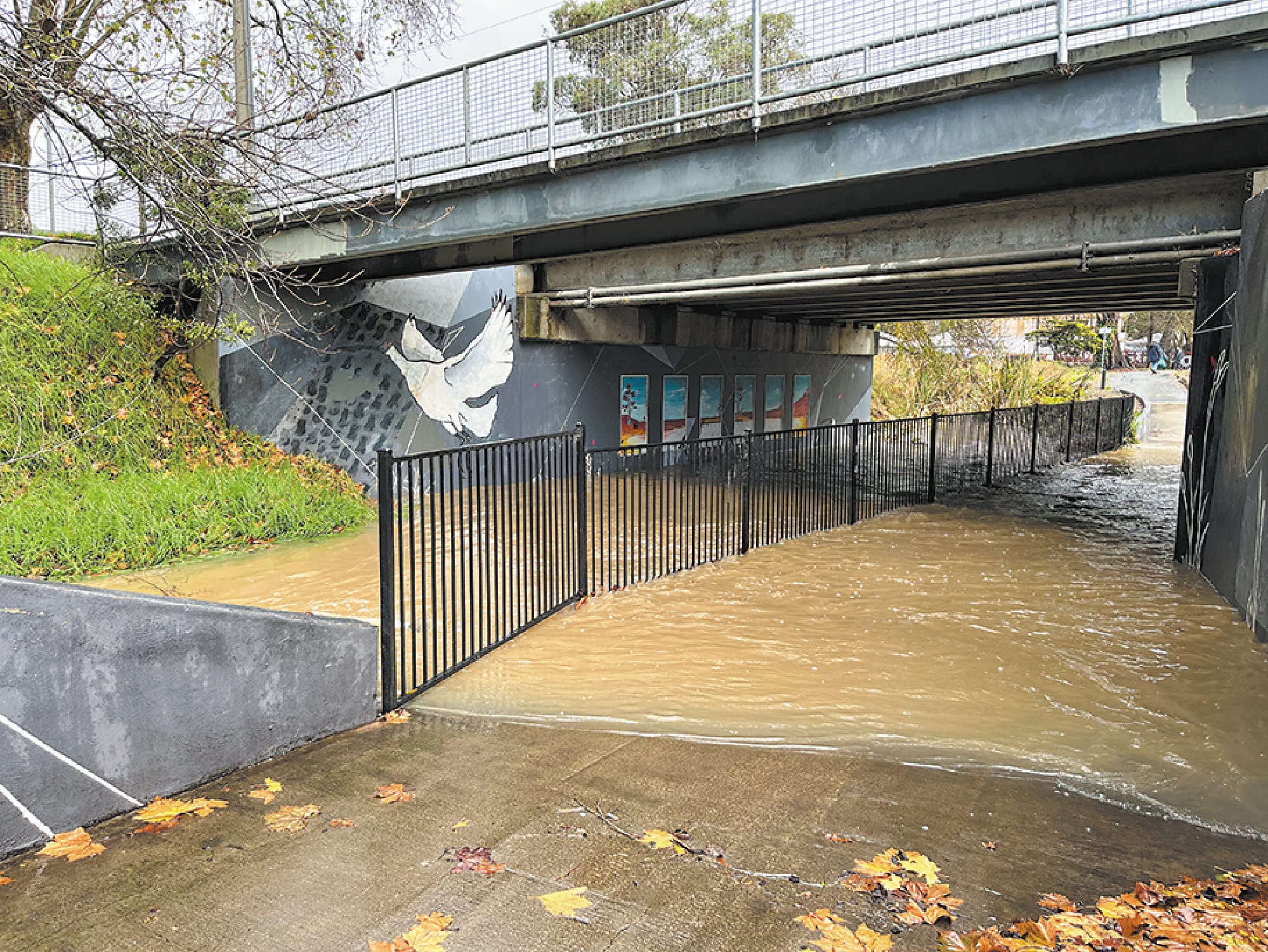 Wild weather lashes the Hills