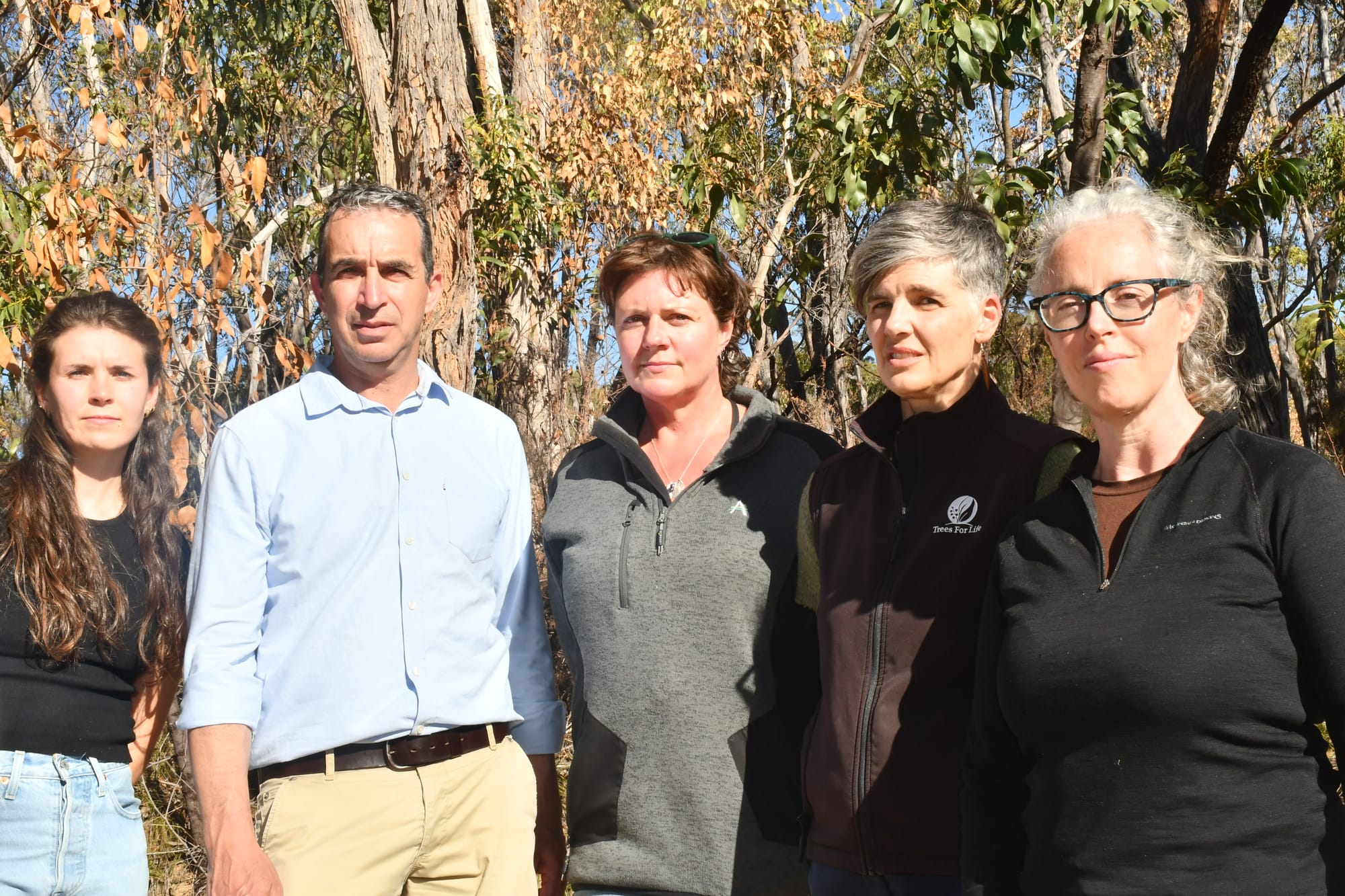 Fears for trees as drought continues