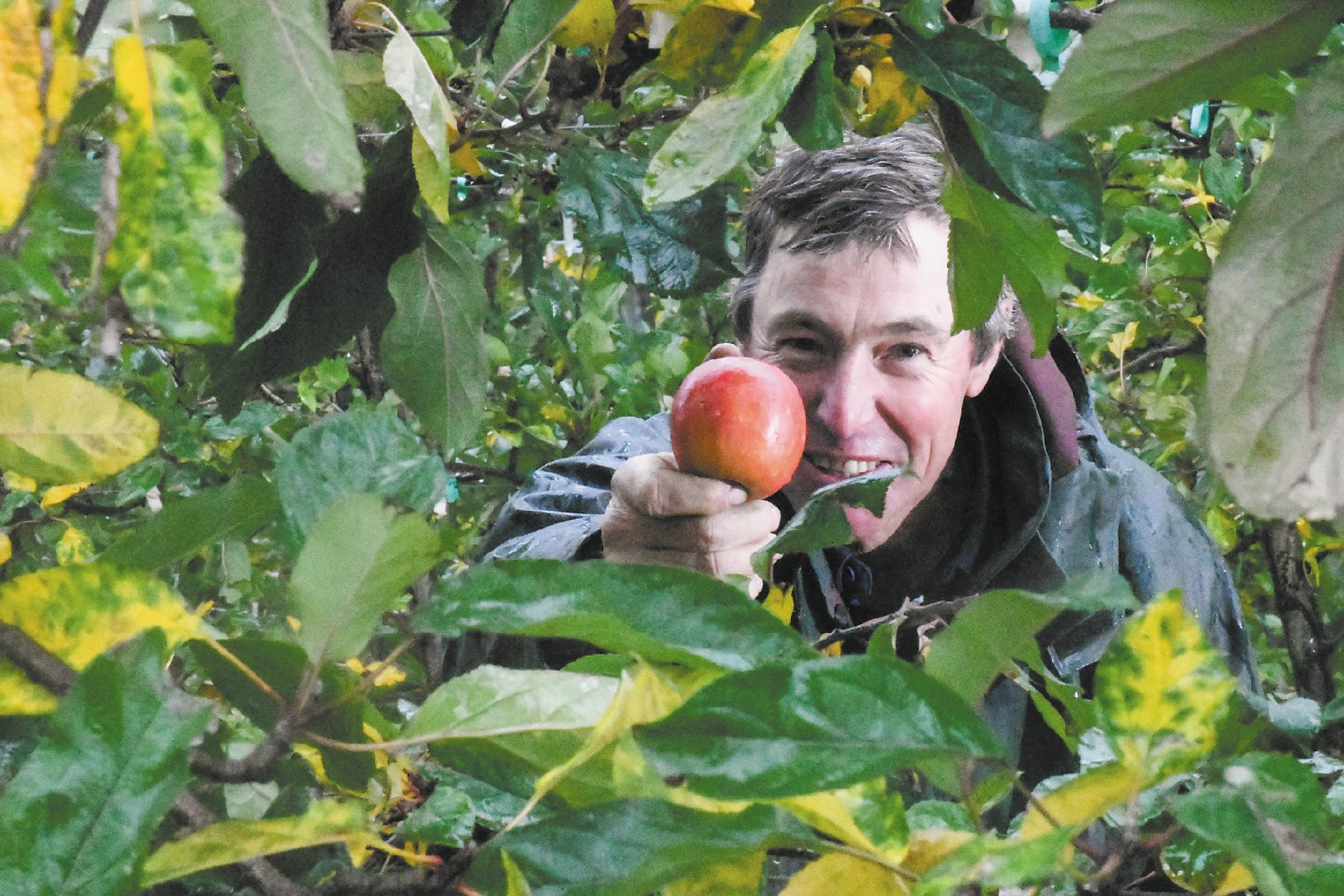 Grower urges the community to support apple industry as challenges mount