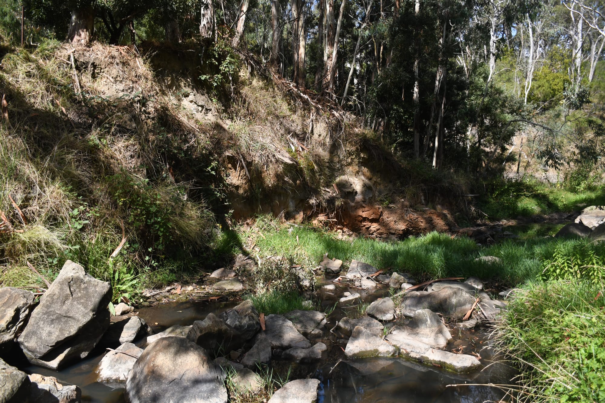 Gold diggers damage local creek