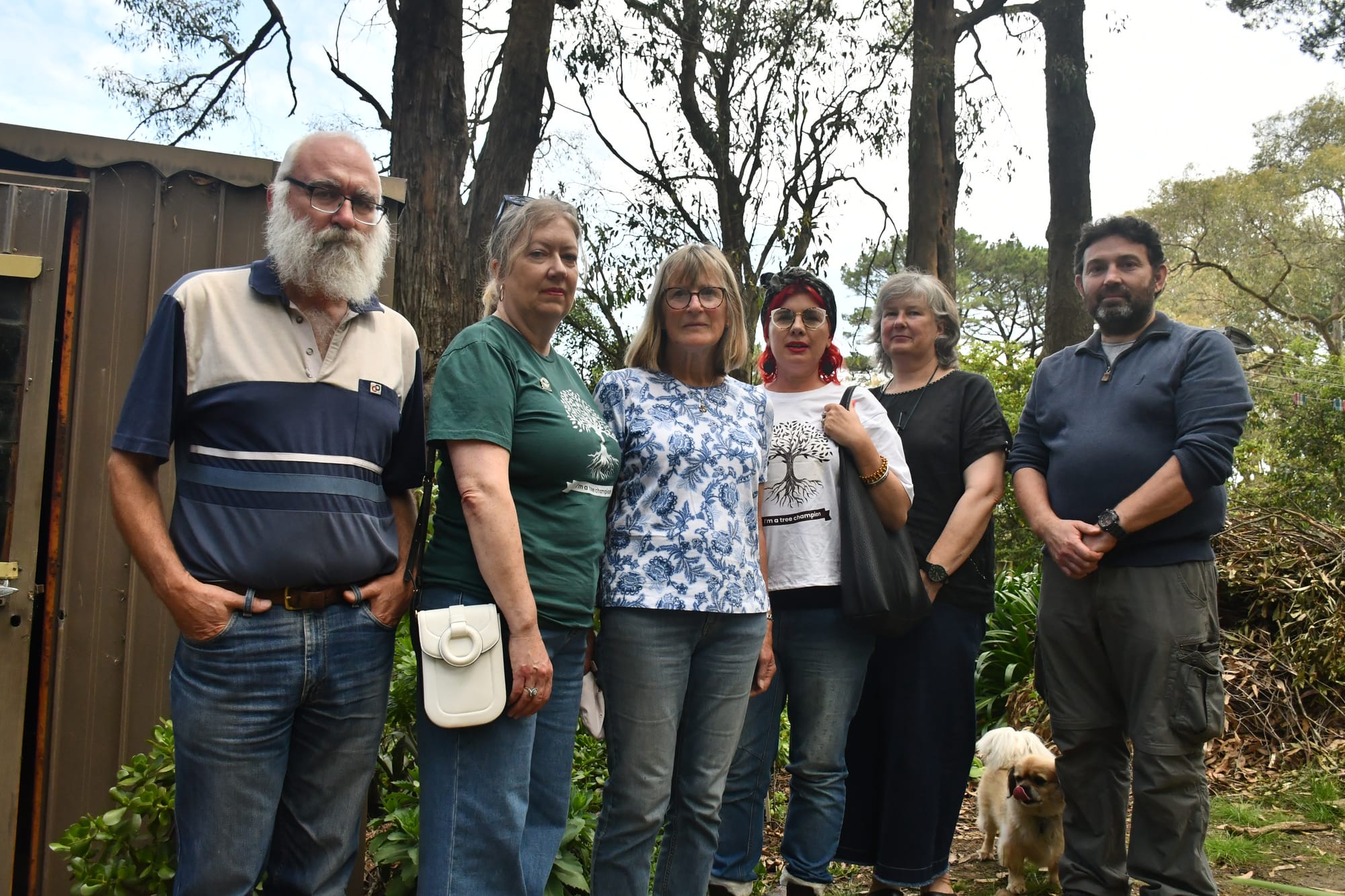 Residents concerned about habitat loss as trees face the axe