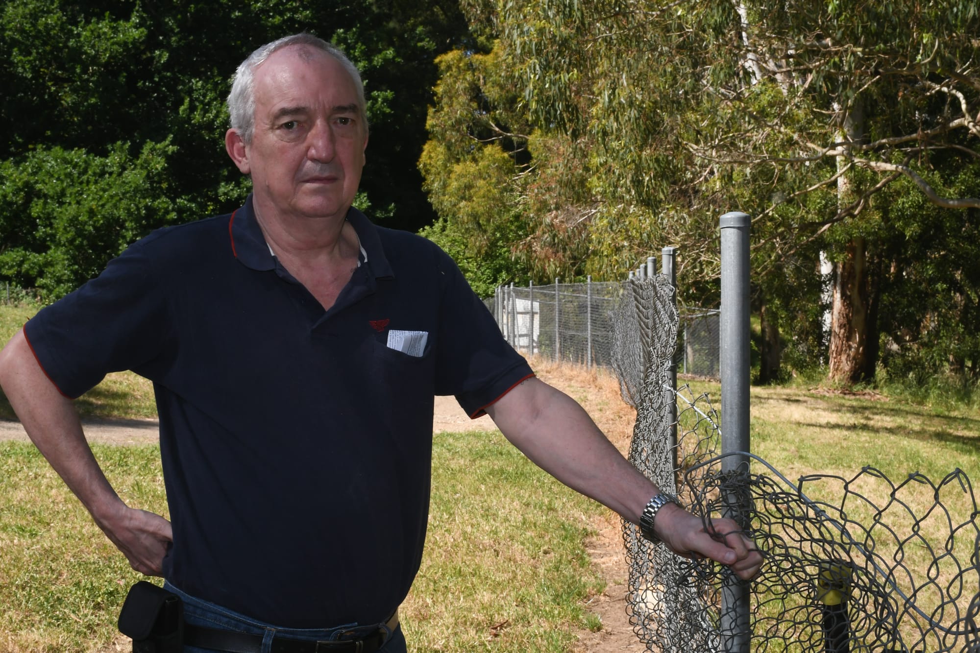 Resident fears dog park is a risk to pets