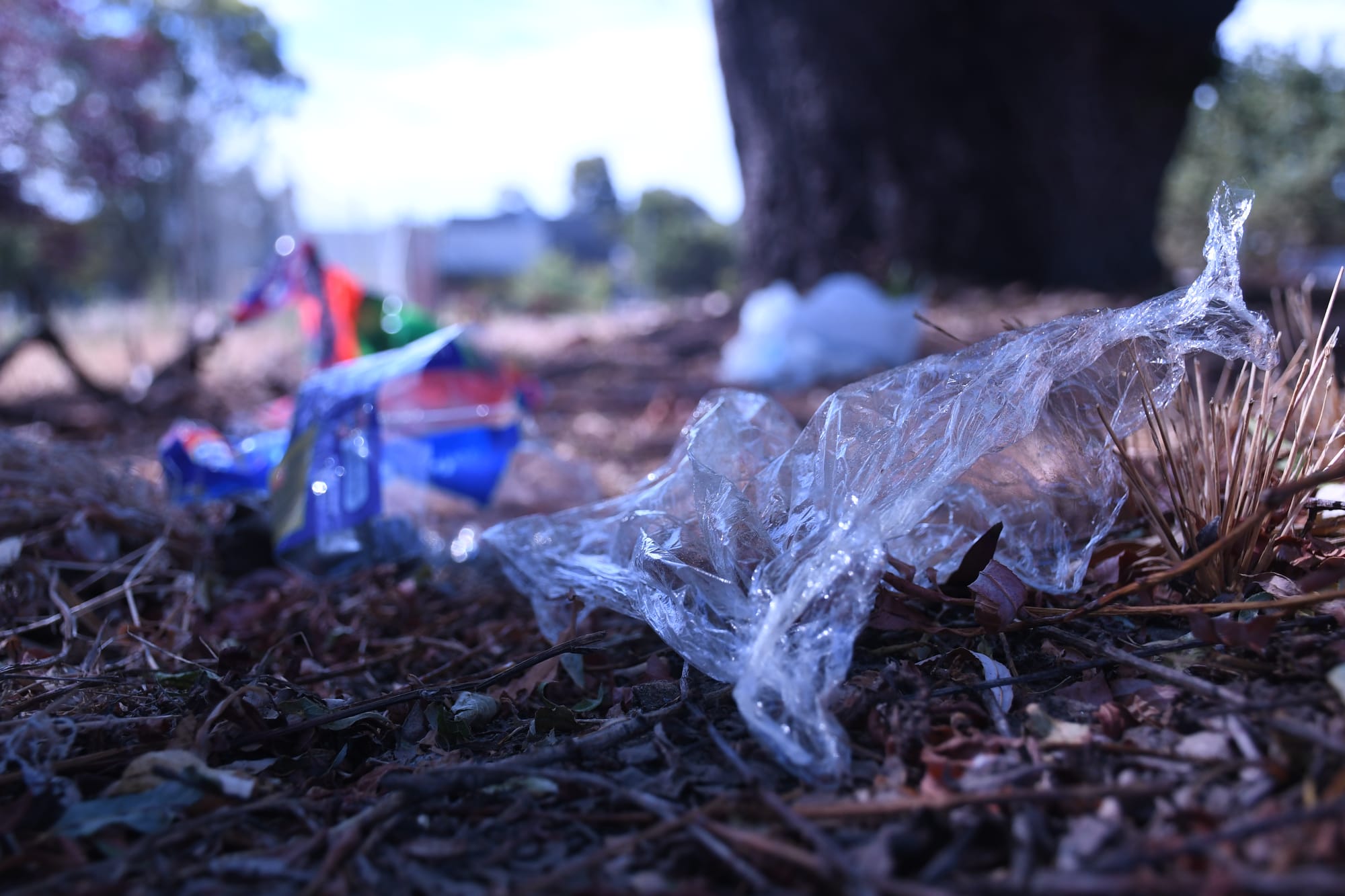 Councils go soft on plastic