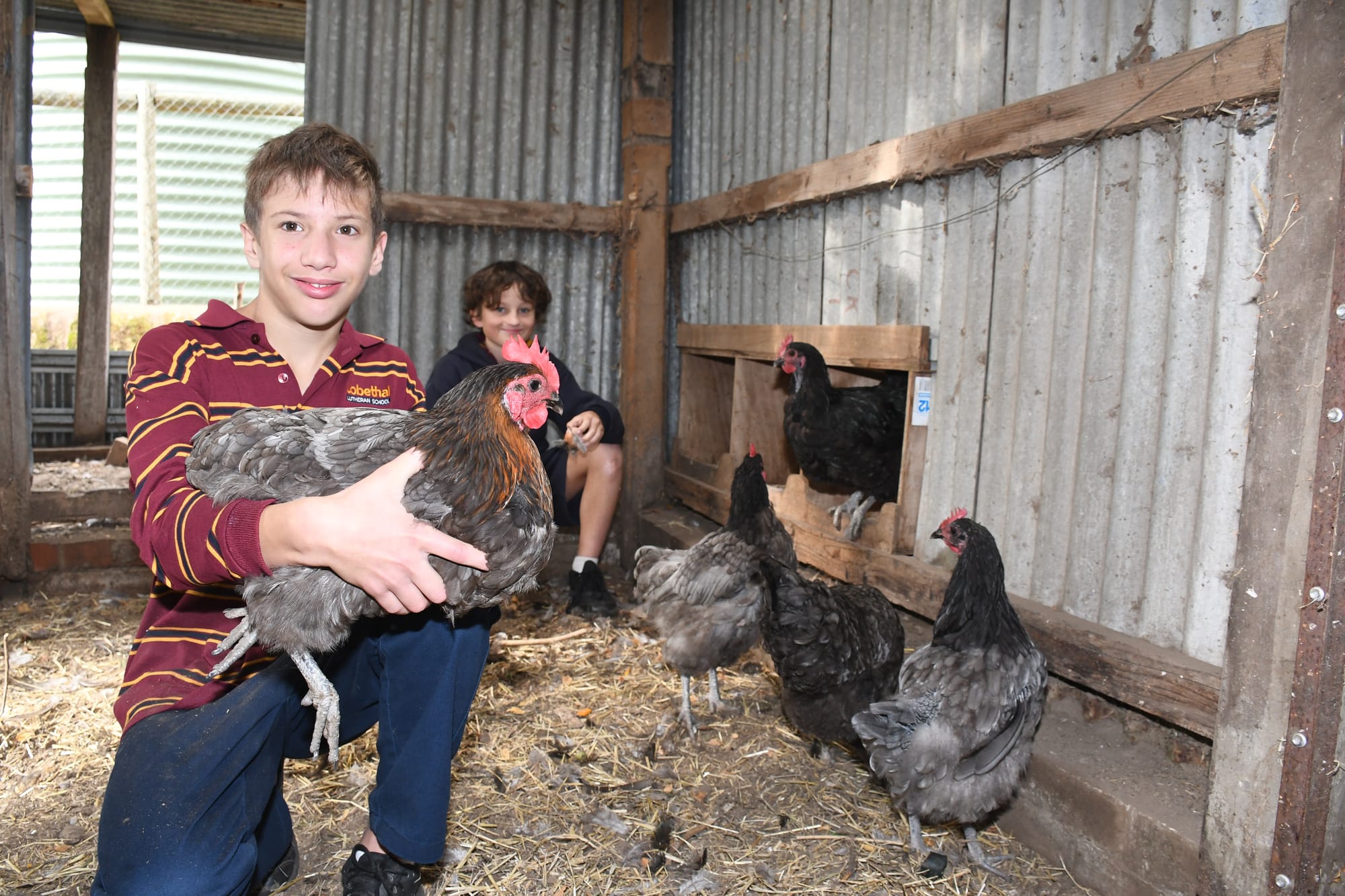 Students come up with egg-cellent idea