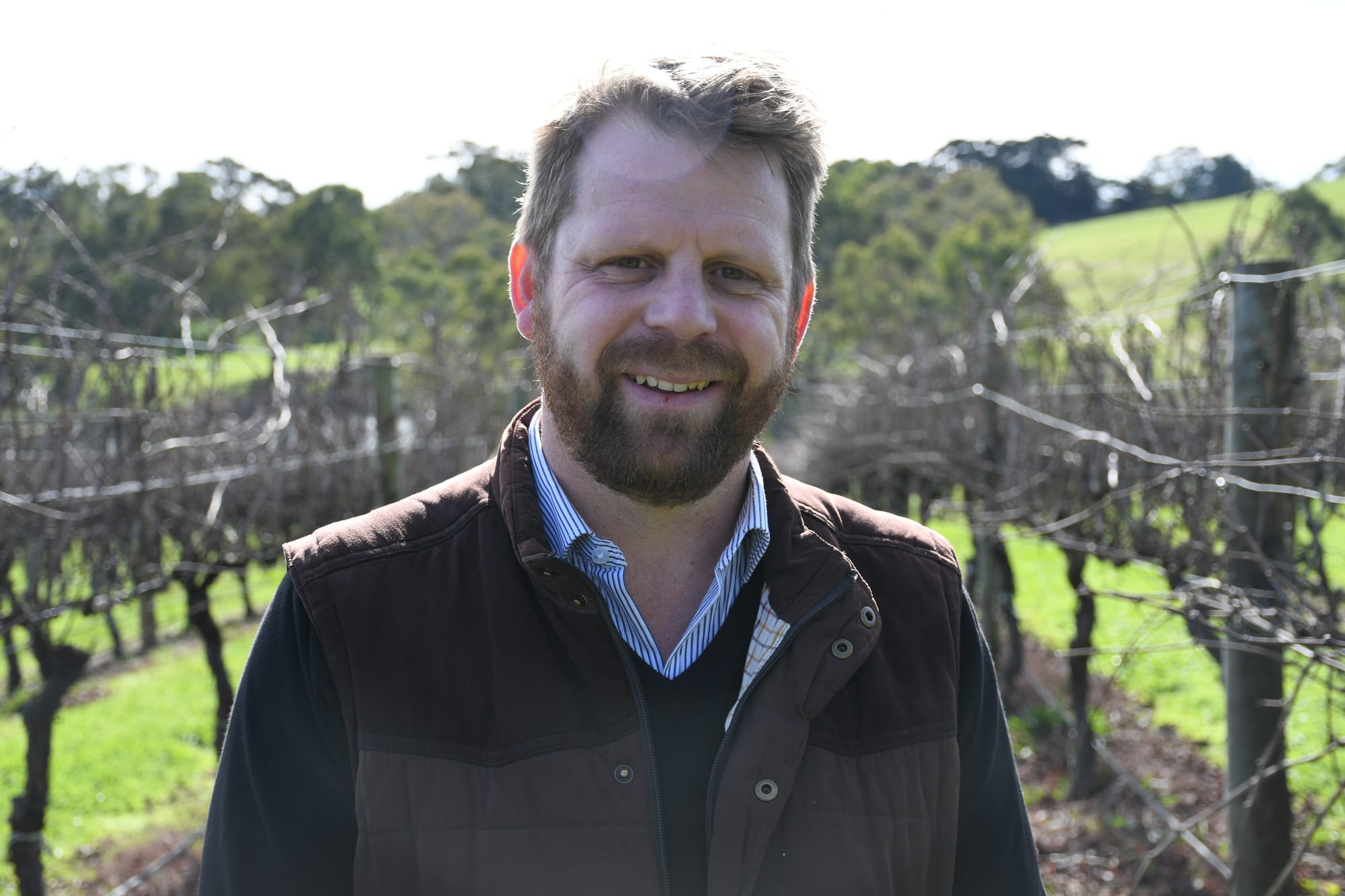 Major rise in value for Hills white wine grapes