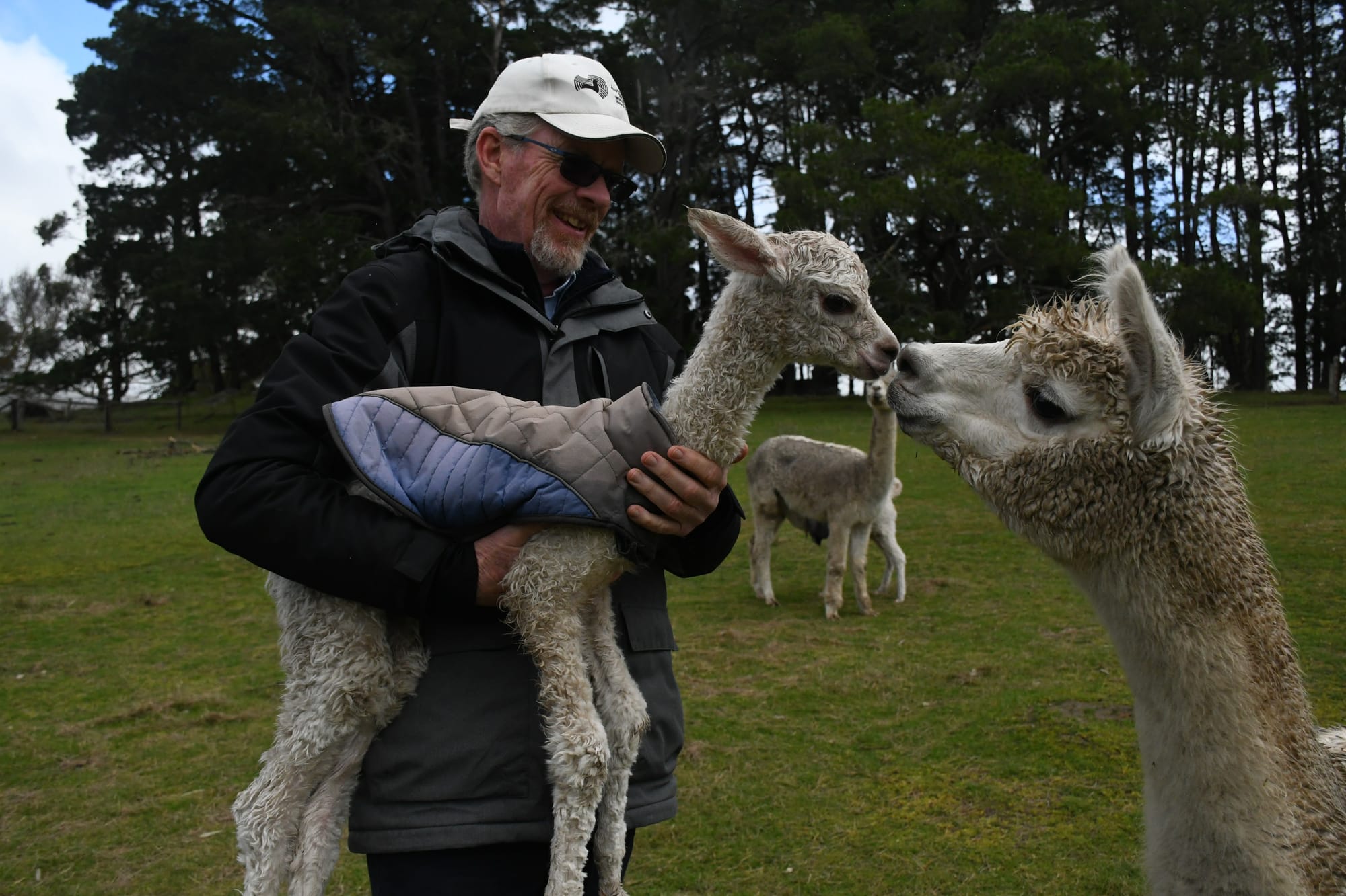 Calls for border closures as foot and mouth fears rise