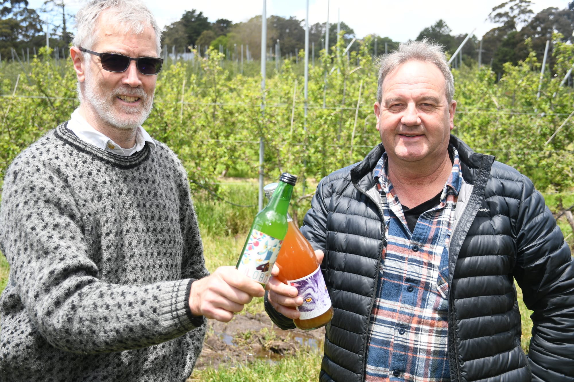 Hills cider shines on national stage