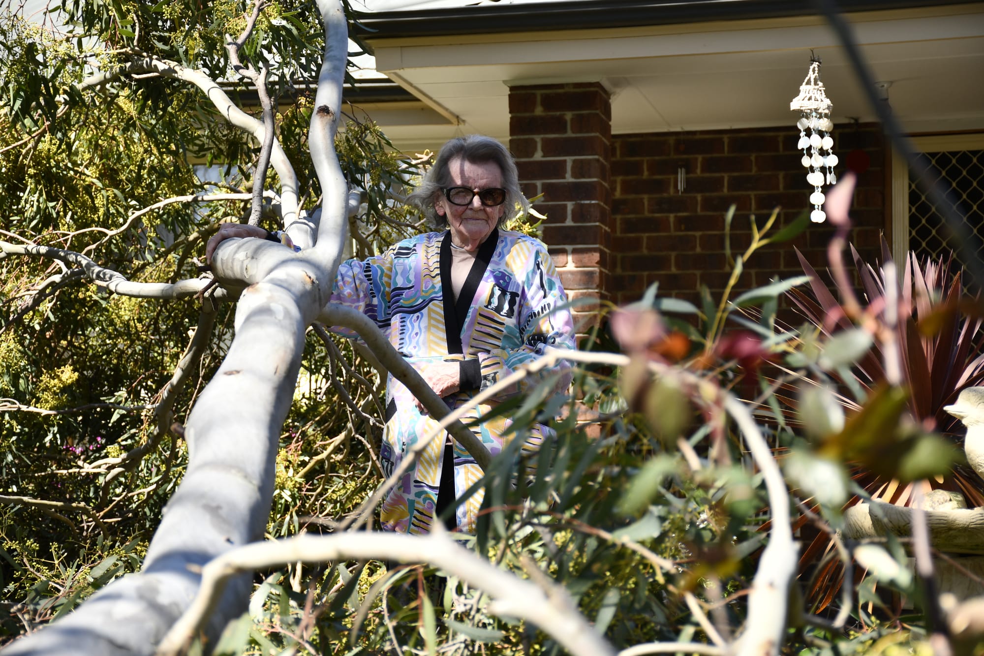 Narrow escape: wind gusts bring trees down