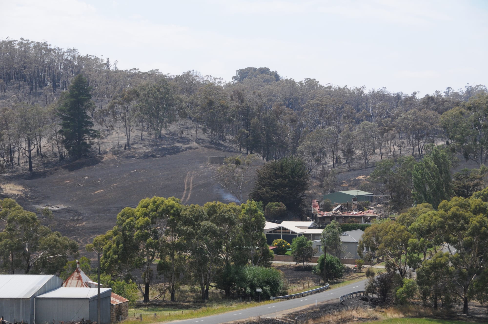 Cudlee Creek fire claim begins