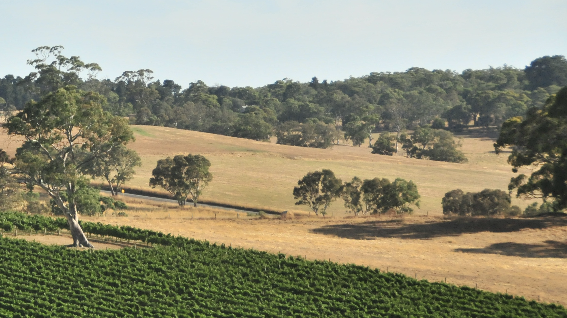 Dry weather to persist into autumn