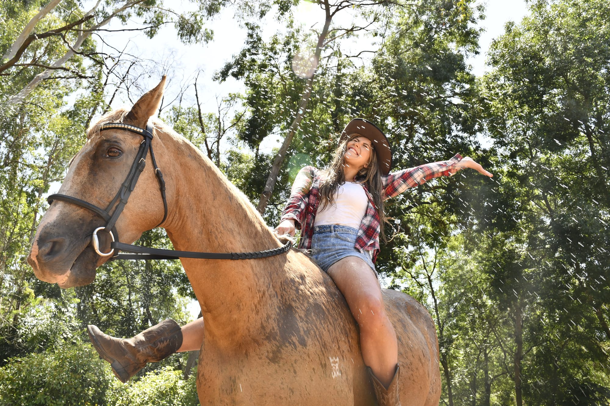 Keep cool and carry on