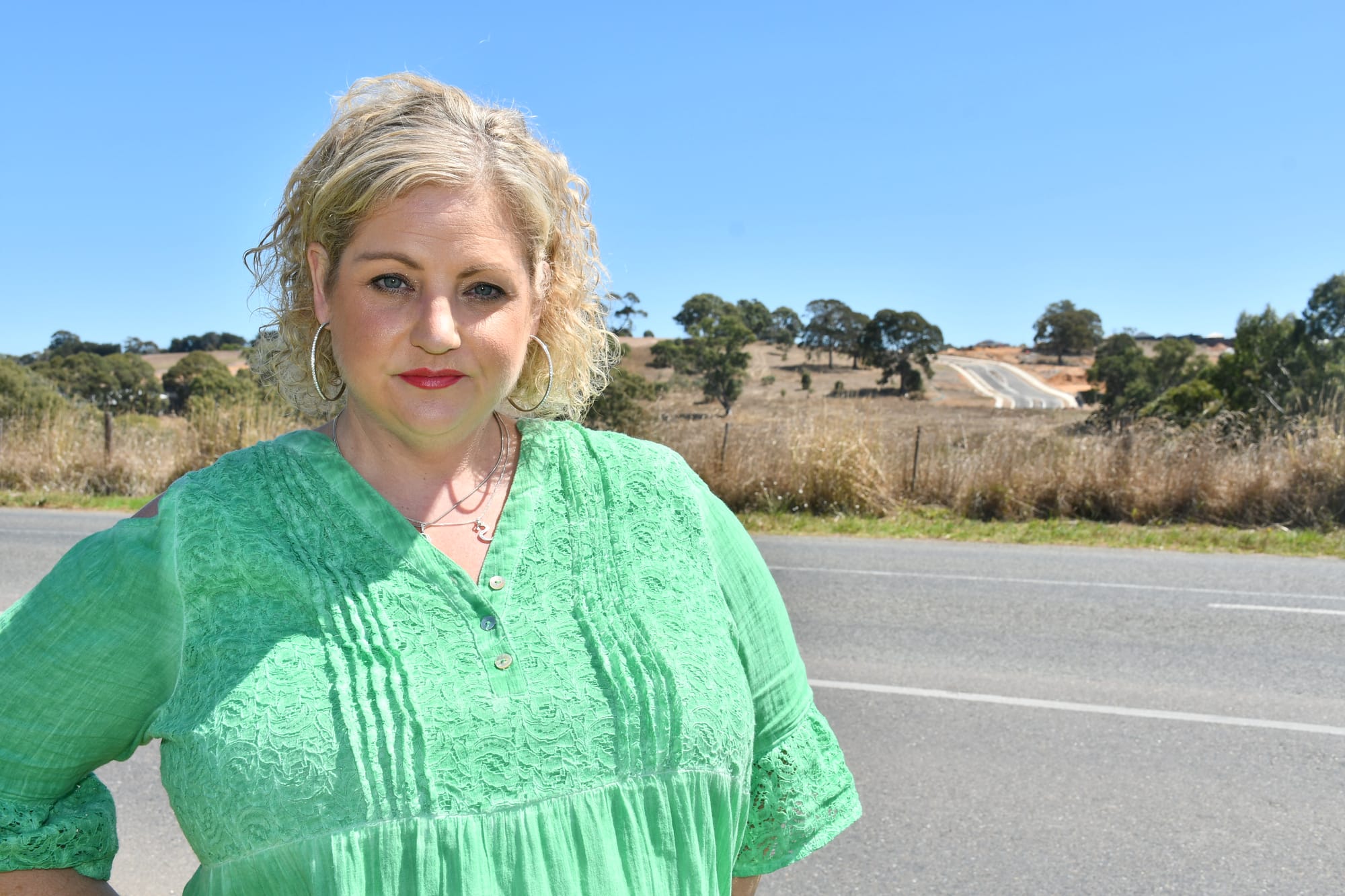 Council seeks Heysen solution