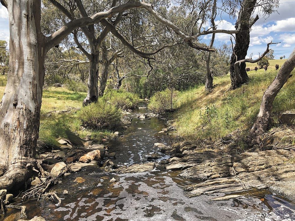 Public feedback sought before water use regulations review post image