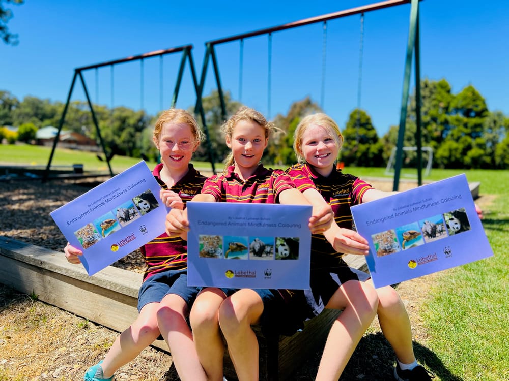 Community service lesson prompts colourful concept post image