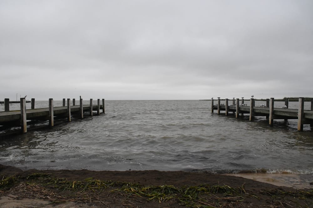 Environmental silver lining to flood risk post image