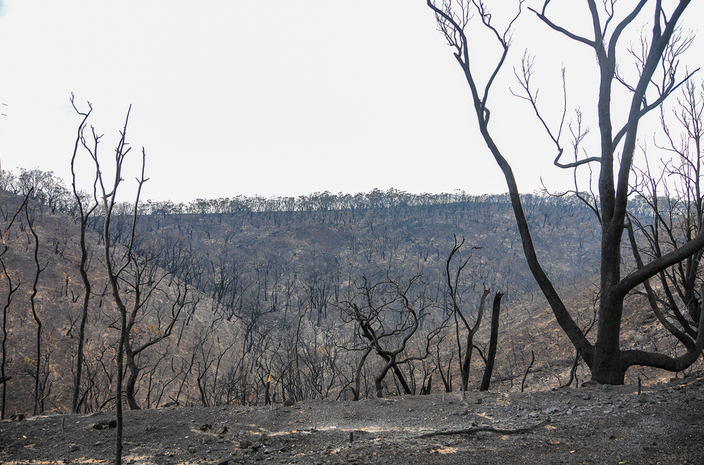 Report warns Hills properties could become 'uninsurable' post image