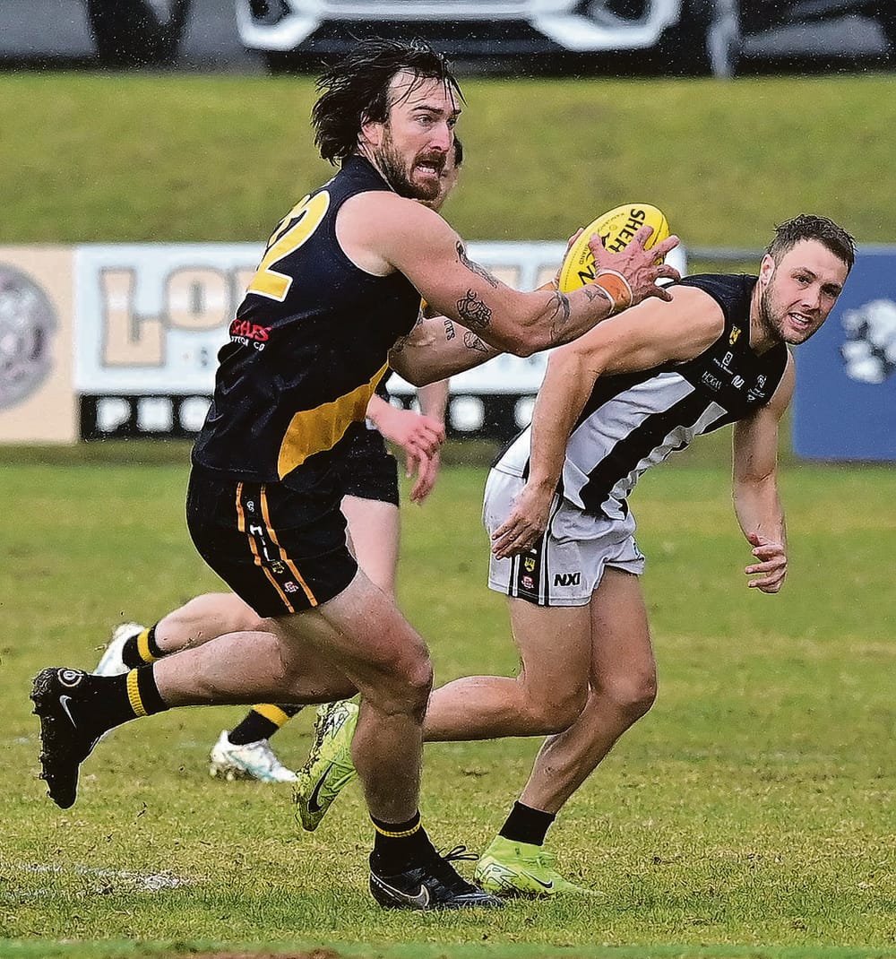 Tigers break streak post image