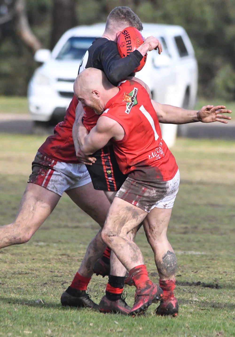 Roosters fly to finals post image