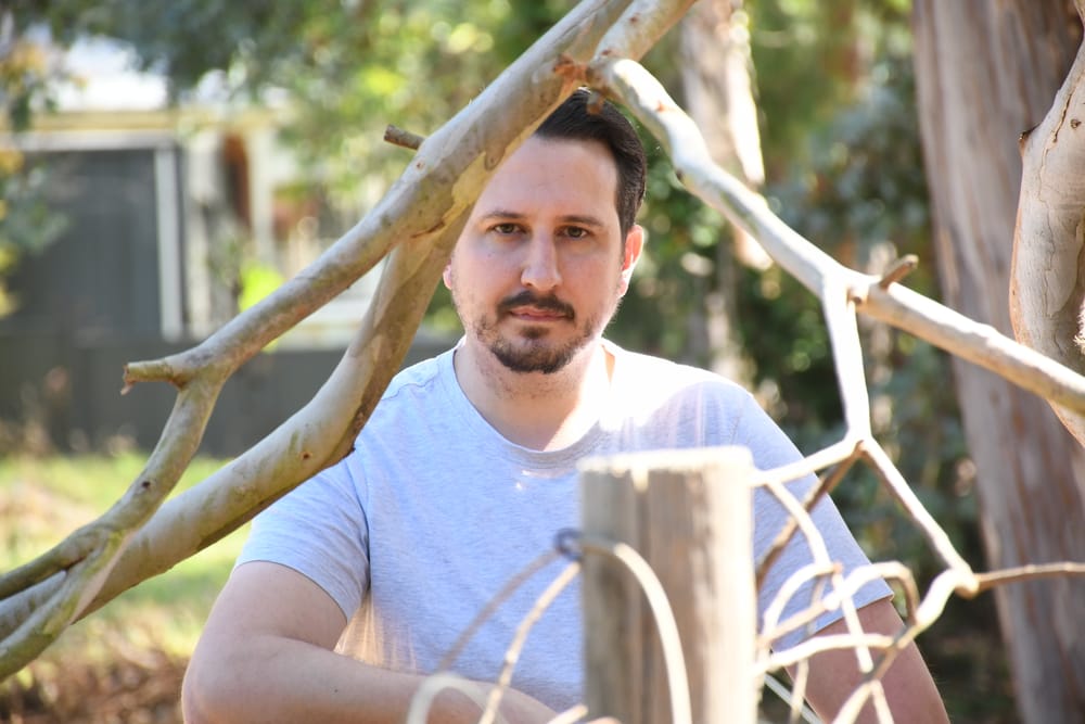 Concern over tree maintenance as branches continue to fall post image